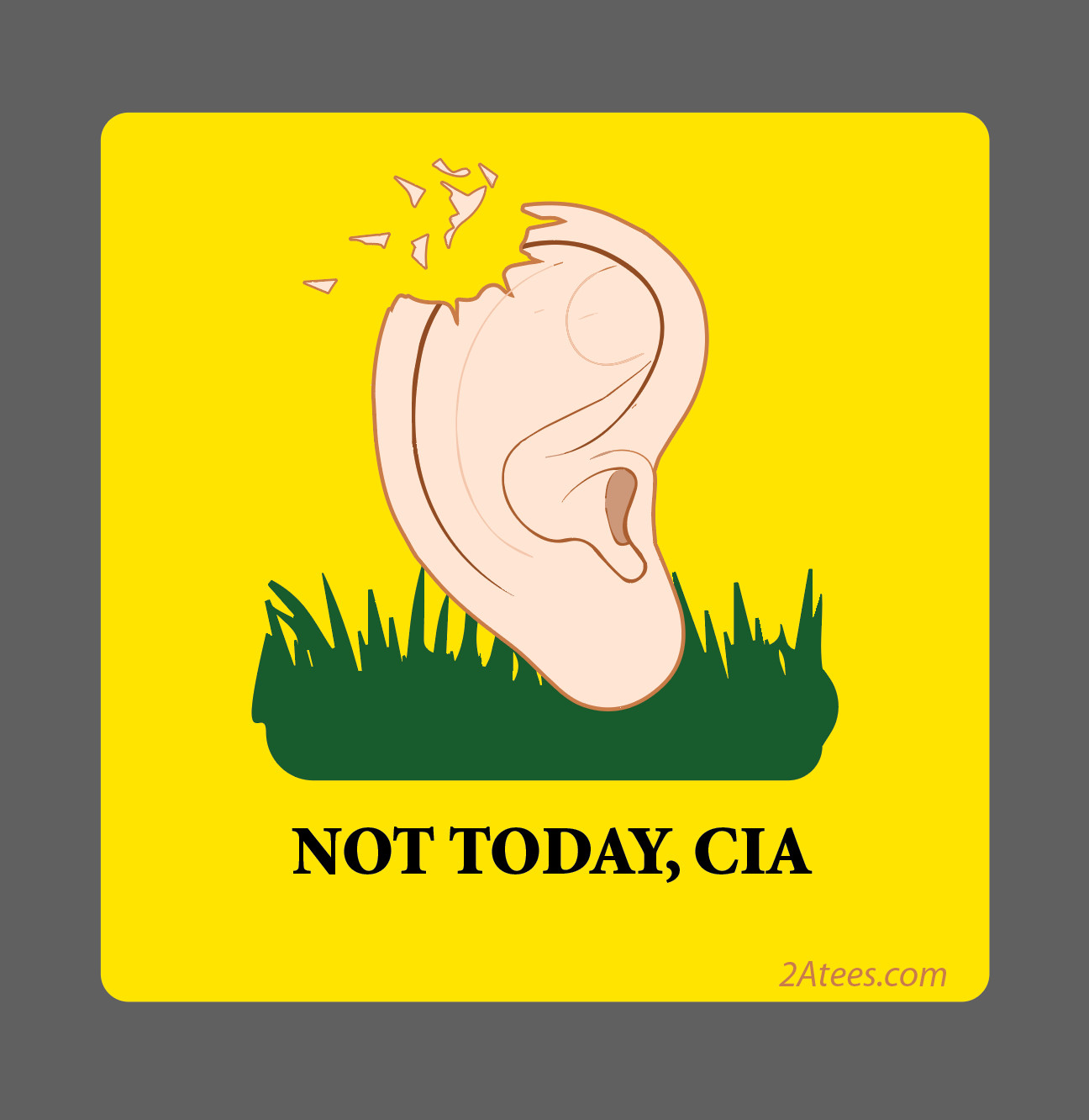 Don't CIA ME - Gadsden inspired decal - funny political meme