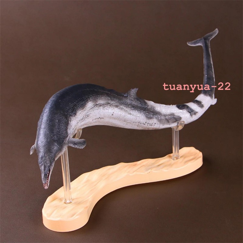 PNSO Basilosaurus Prehistoric Marine Mammal Model Toy Collect 50cm Gift