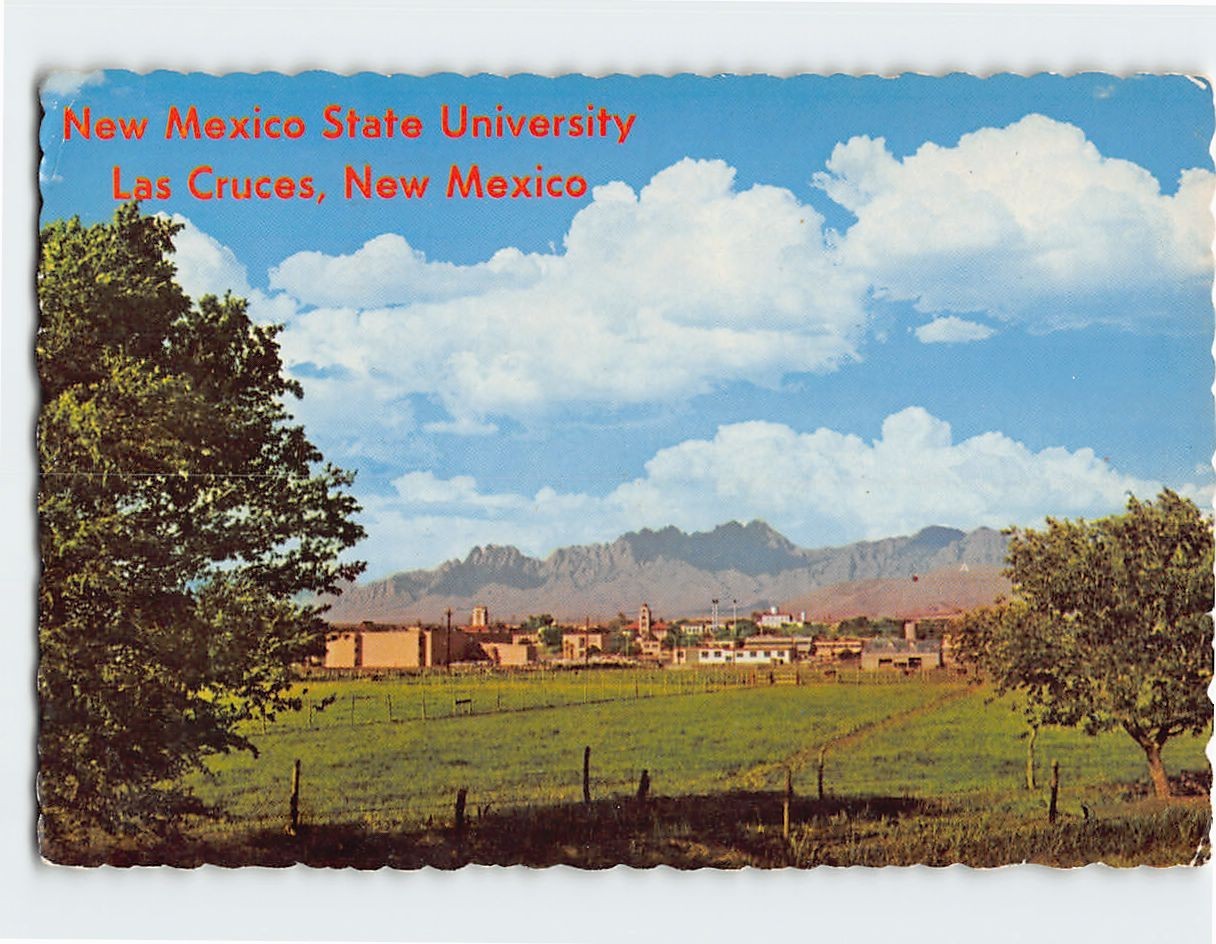 Postcard NM State University NM USA