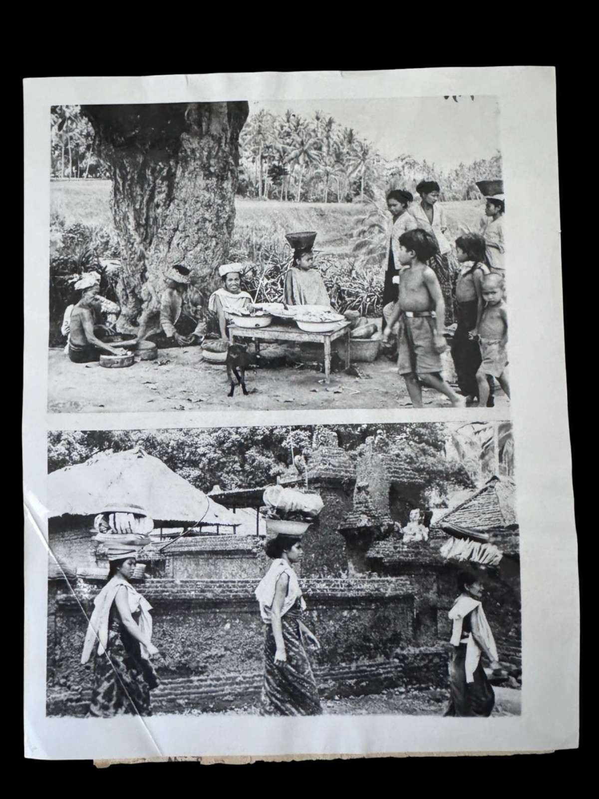 1953 AP Press Photo Indonesia Bali Roadside Market Women 9x7 1953 AP Press Photo Indonesia Bali Roadside Market Women 9x7