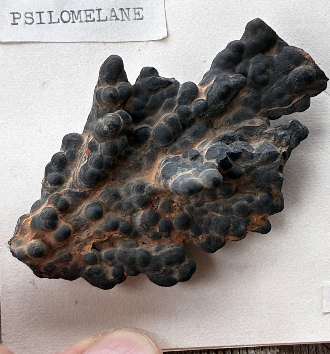 Psilomelane Specimen From Grandpa’s Minnesota Rock Shop Estate Psilomelane Specimen From Grandpa’s Minnesota Rock Shop Estate