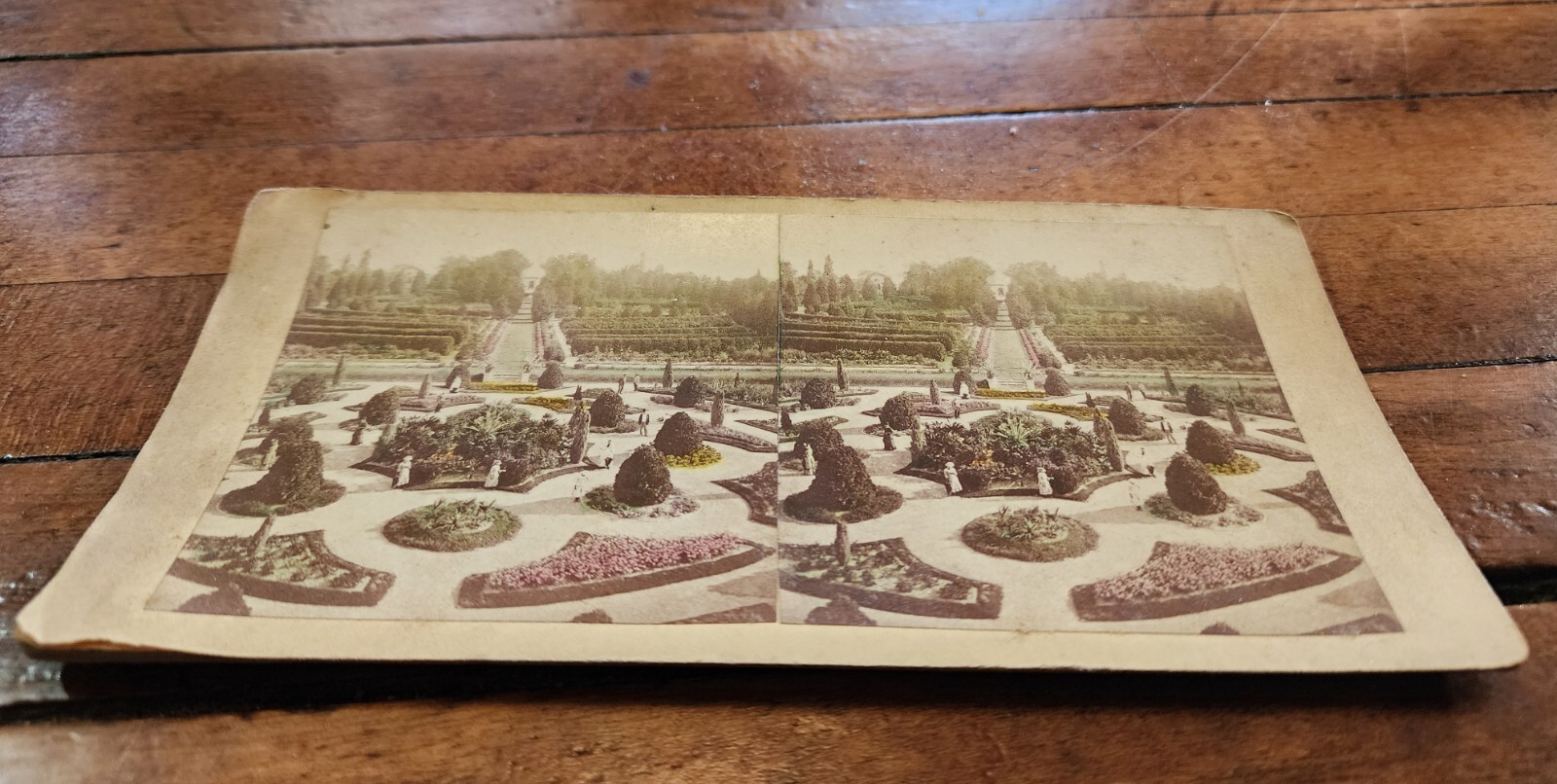Antique Stereoview Card Shaw's Missouri Botanical Gardens View from Palm House Antique Stereoview Card Shaw's Missouri Botanical Gardens View from Palm House