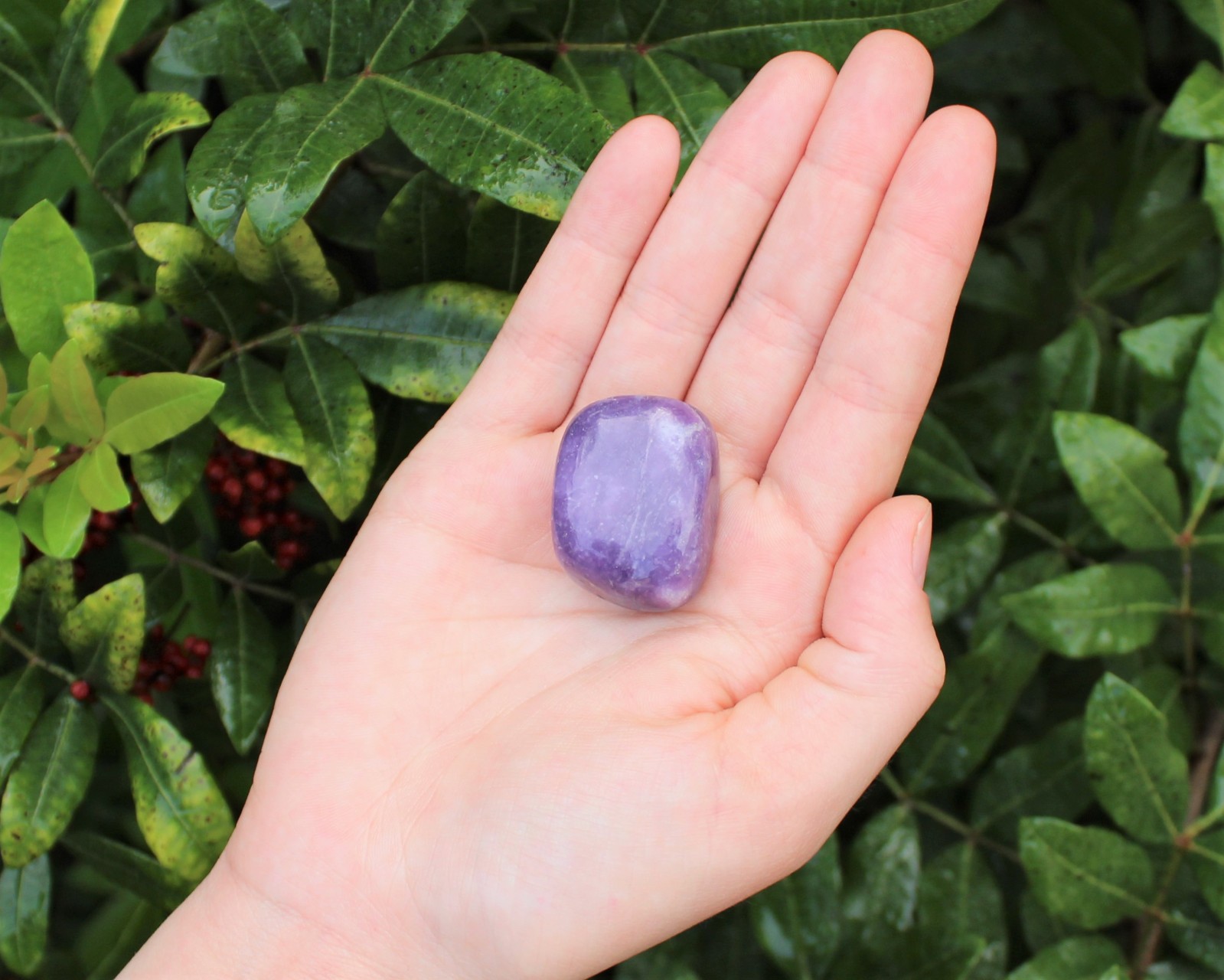 Lepidolite Tumbled Stones: Choose How Many ('A' Grade Lepidolite Crystals) Lepidolite Tumbled Stones: Choose How Many ('A' Grade Lepidolite Crystals)