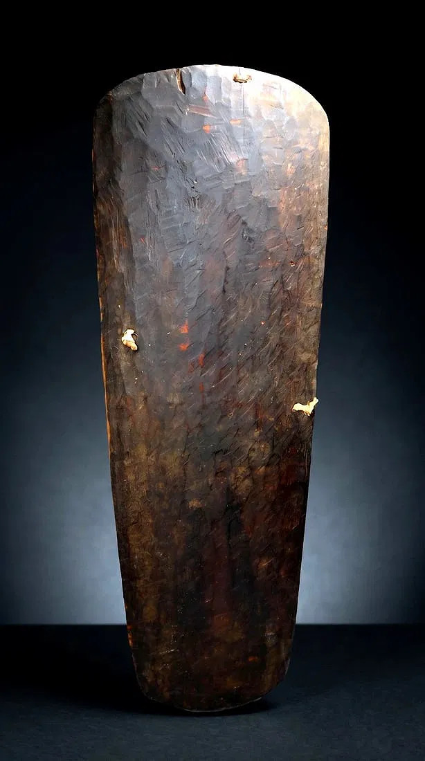 Large Mendi Valley War Shield, Papua New Guinea, 47
