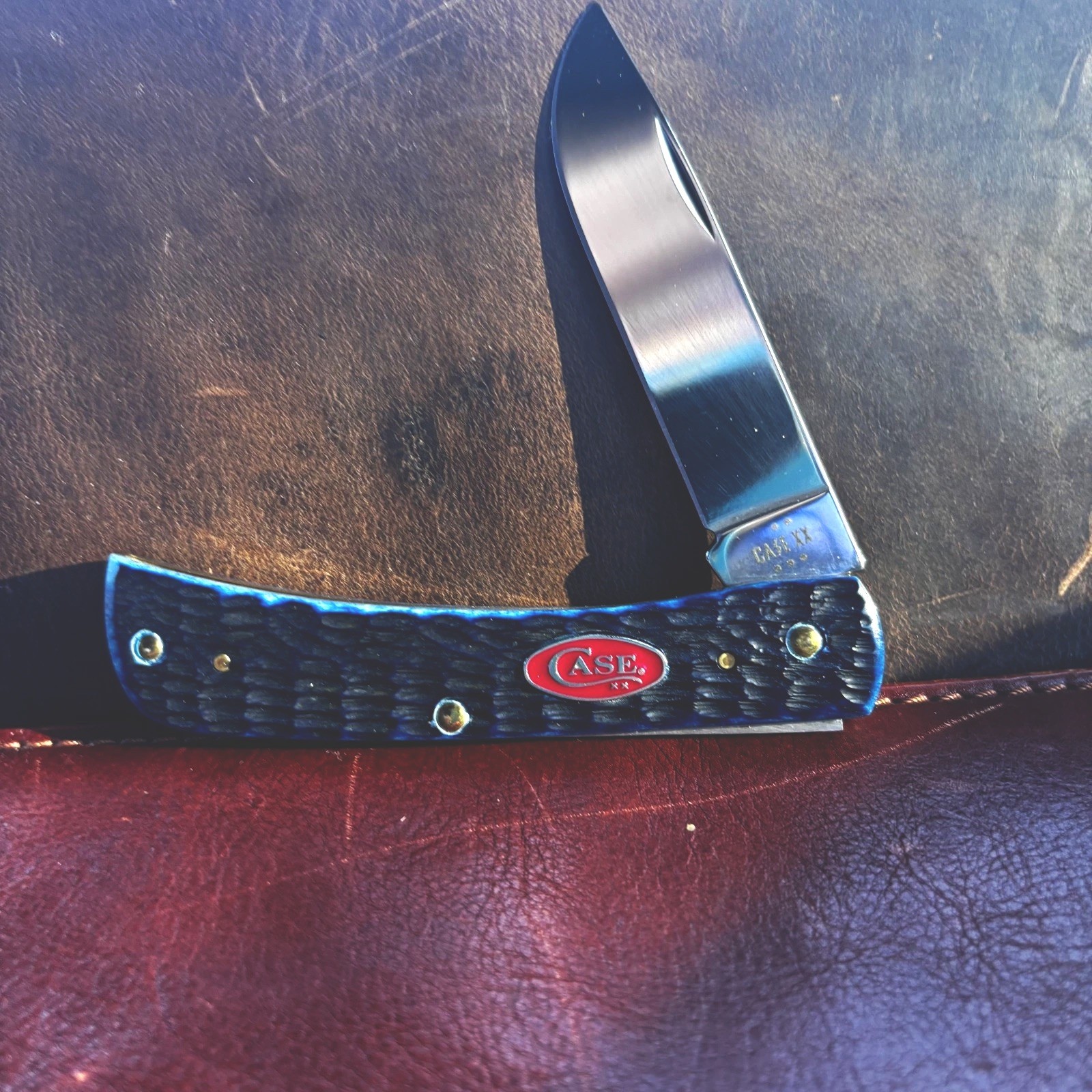 Case XX Sod Buster Jr Pocketknife Blue Bone Handle 1 Blade Stainless Drop Point Case XX Sod Buster Jr Pocketknife Blue Bone Handle 1 Blade Stainless Drop Point