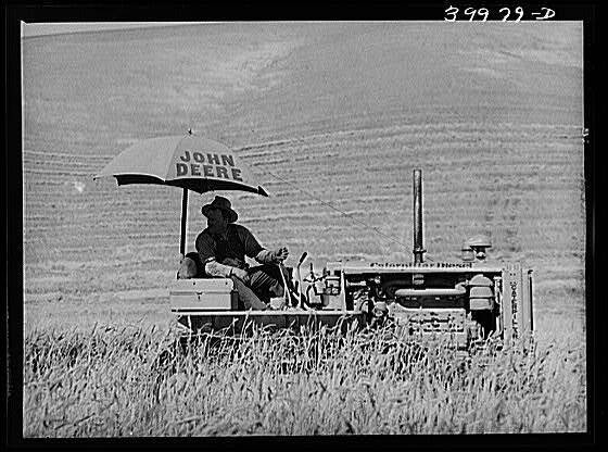 Wheat Farmer,Whitman County,Washington,WA,Farm Security Administration,FSA,7