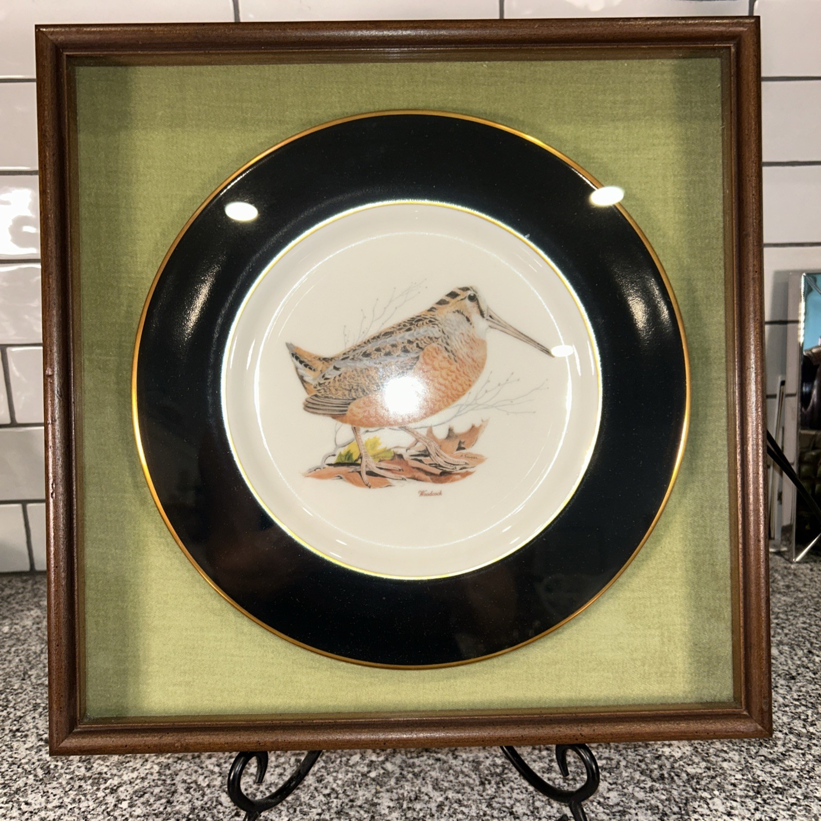 American Woodcock Collector Plate by Arthur Singer in Shadow Box 13.75x13.75 in American Woodcock Collector Plate by Arthur Singer in Shadow Box 13.75x13.75 in