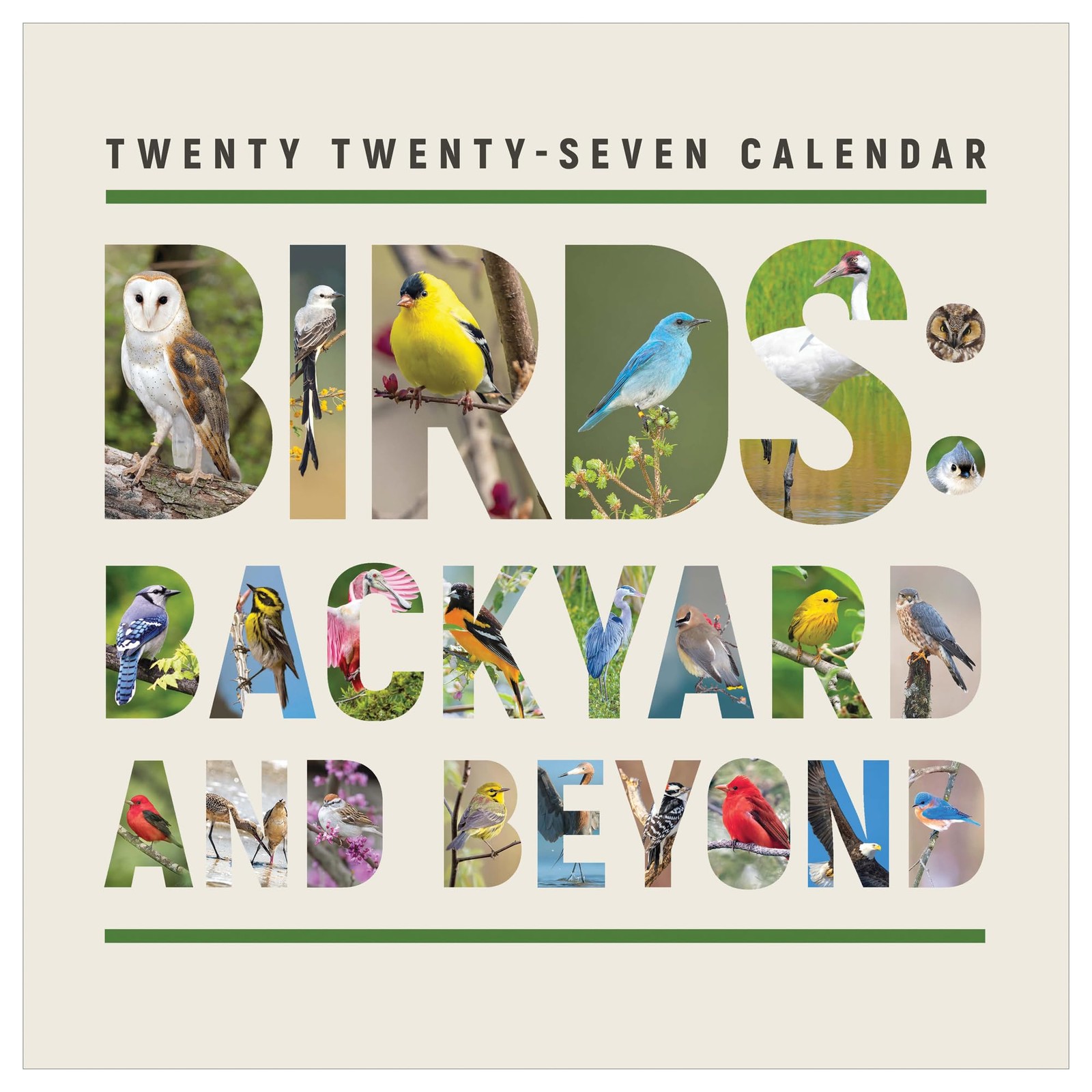TF Publishing 2027 Backyard Birds Wall Calendar TF Publishing 2027 Backyard Birds Wall Calendar