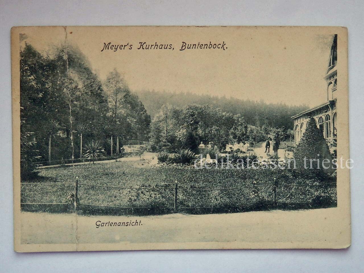 BUNTENBOCK Meyer\'s Kurhaus Harz Germany AK old postcard 