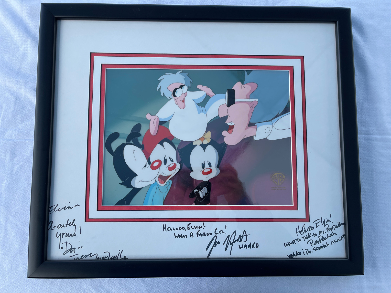 Animaniacs Yakko, Wakko, Dot Original Production Cel 1994 Signed Framed COA Animaniacs Yakko, Wakko, Dot Original Production Cel 1994 Signed Framed COA