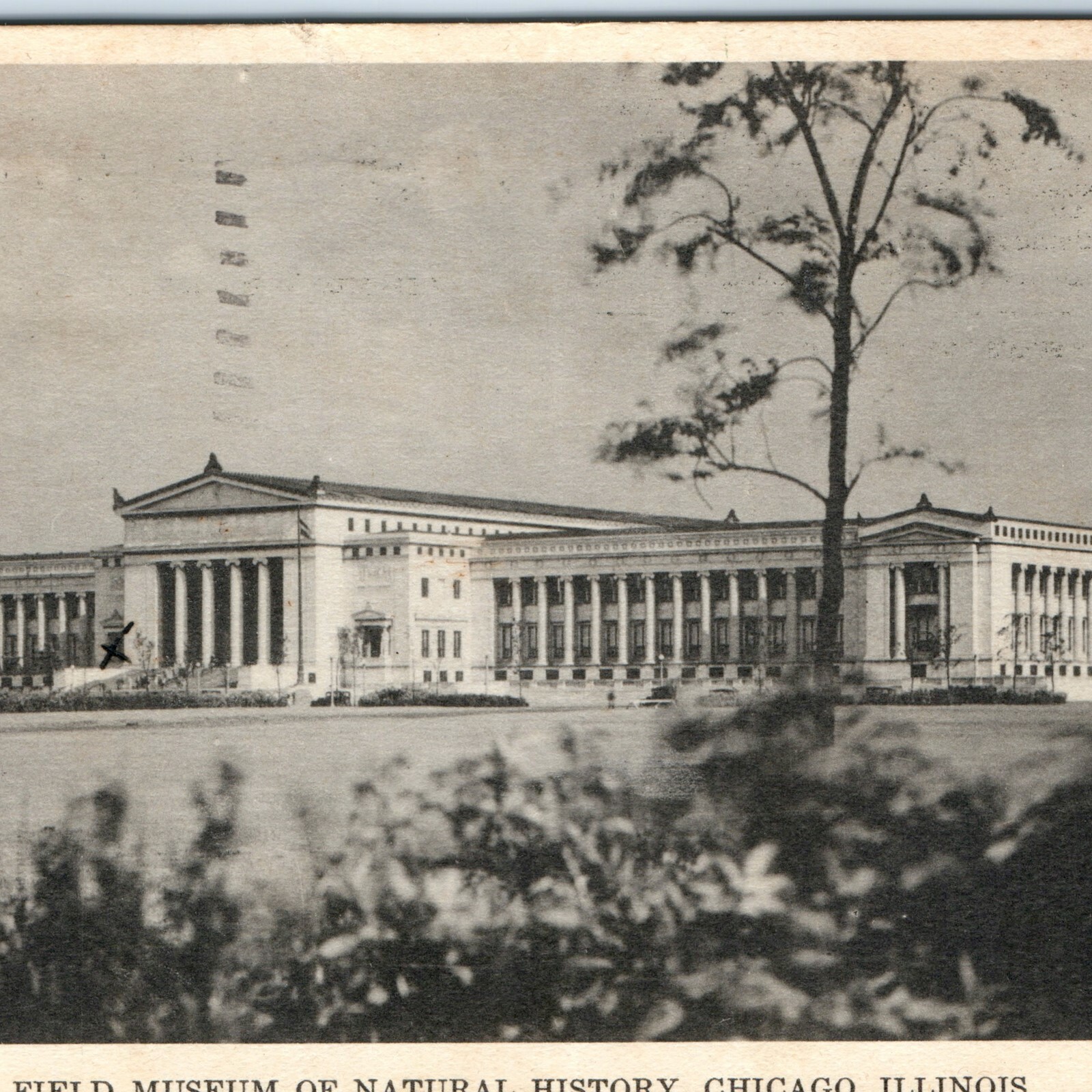 c1930s Chicago, IL Field Museum of Natural History Postcard Henry Fuermann Photo c1930s Chicago, IL Field Museum of Natural History Postcard Henry Fuermann Photo