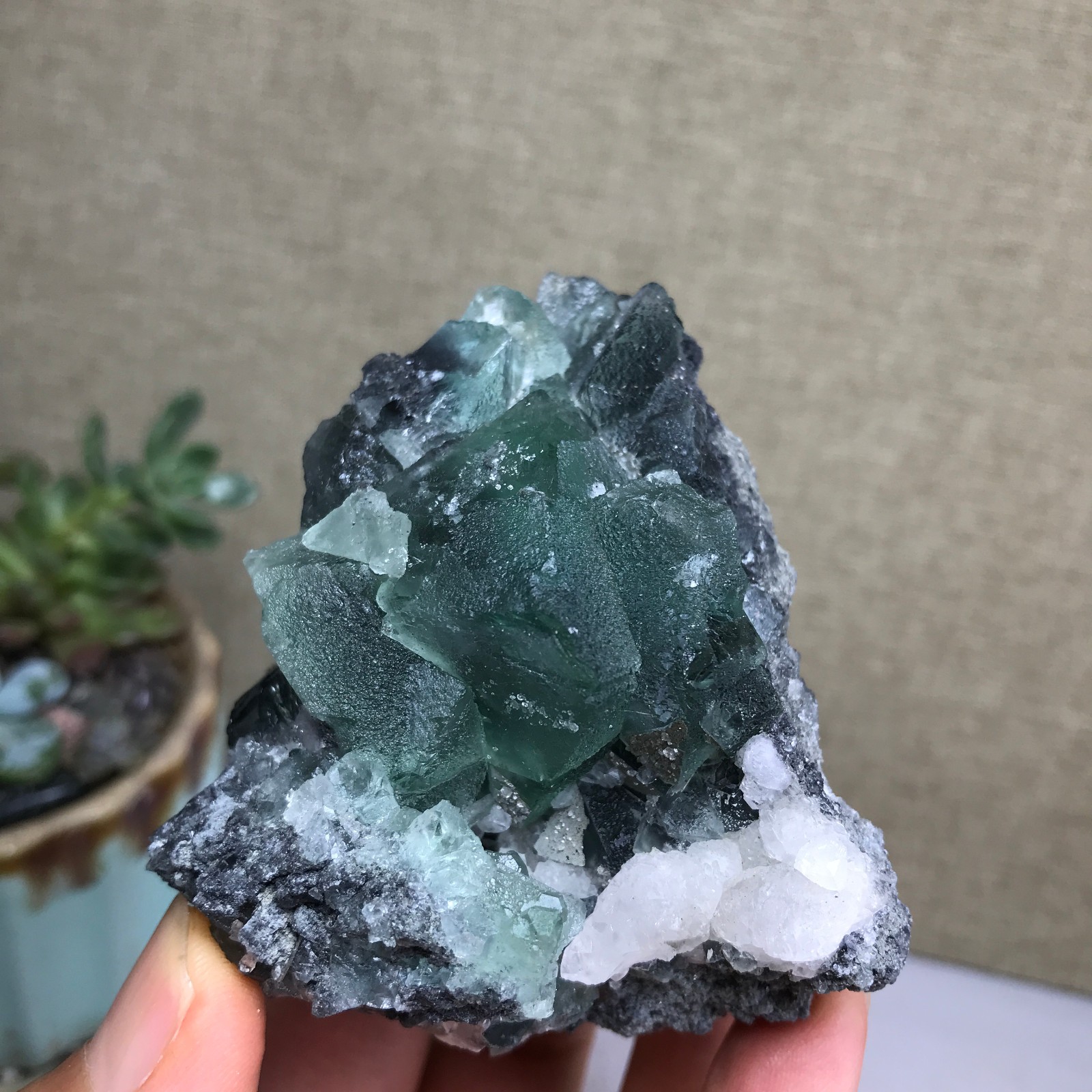 215g NATURAL Green Cubic FLUORITE paragenesis Crystal Cluster Specimen A4777
