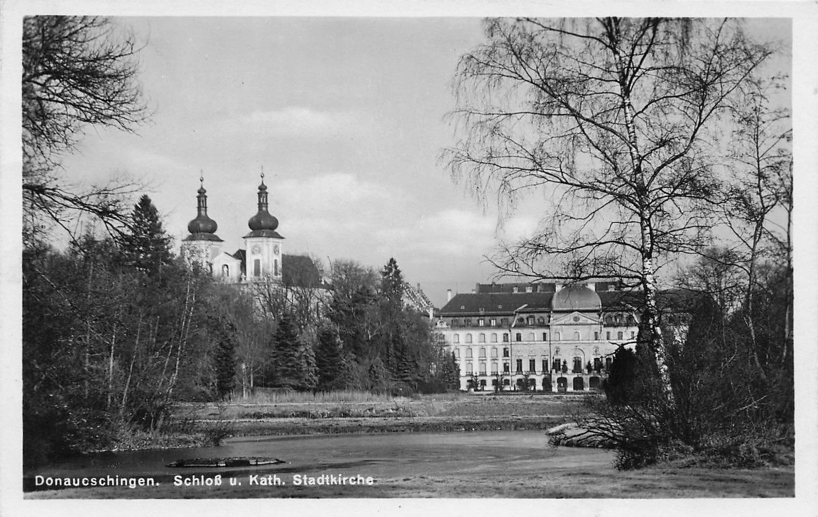 Postcard Donaueschingen (78166), Castle and Catholic Town Church Photocard