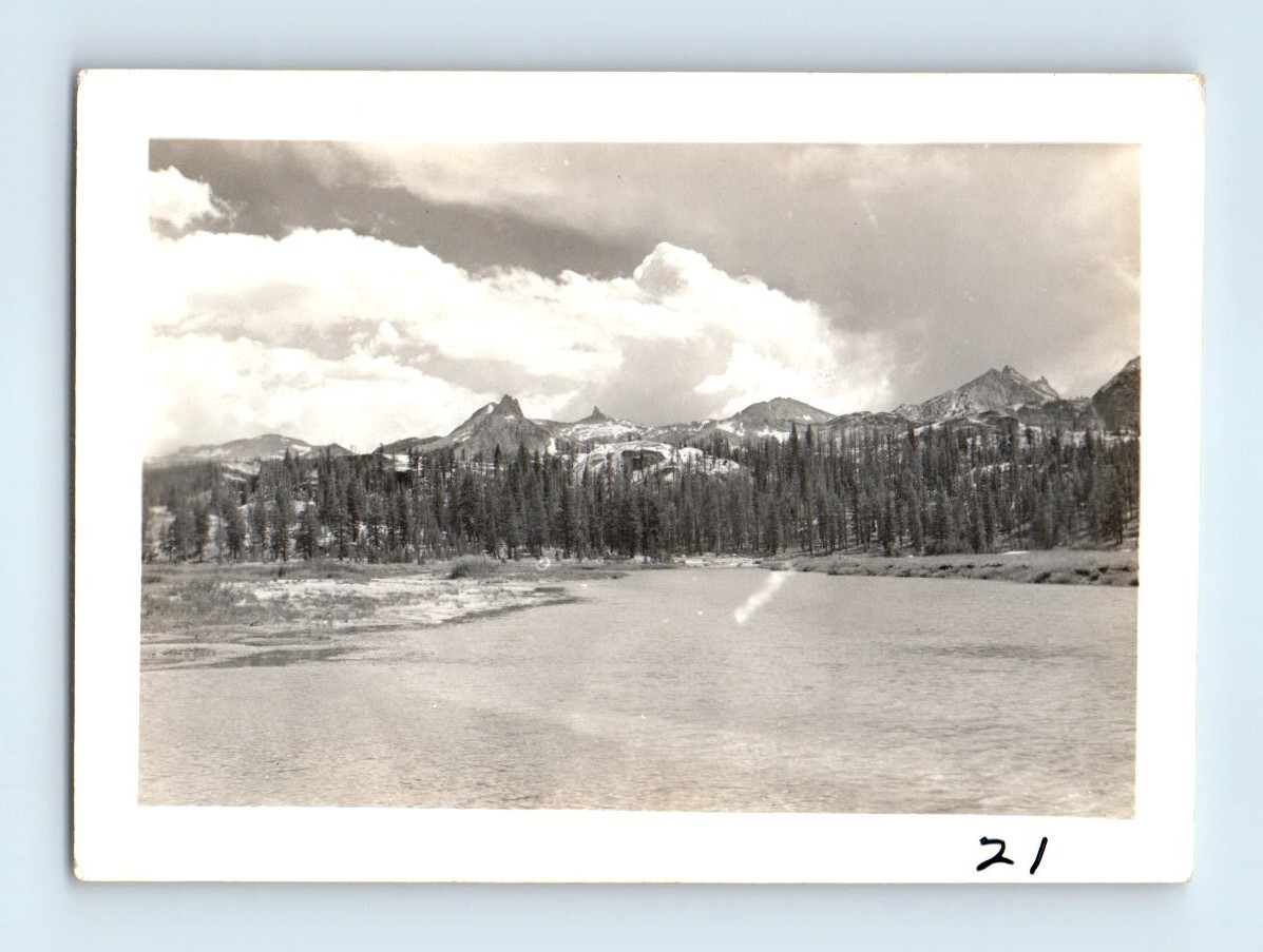 Old Vintage Photo YOSEMITE MOUNTAIN LANDSCAPE ANTIQUE SNAPSHOT PHOTOGRAPH