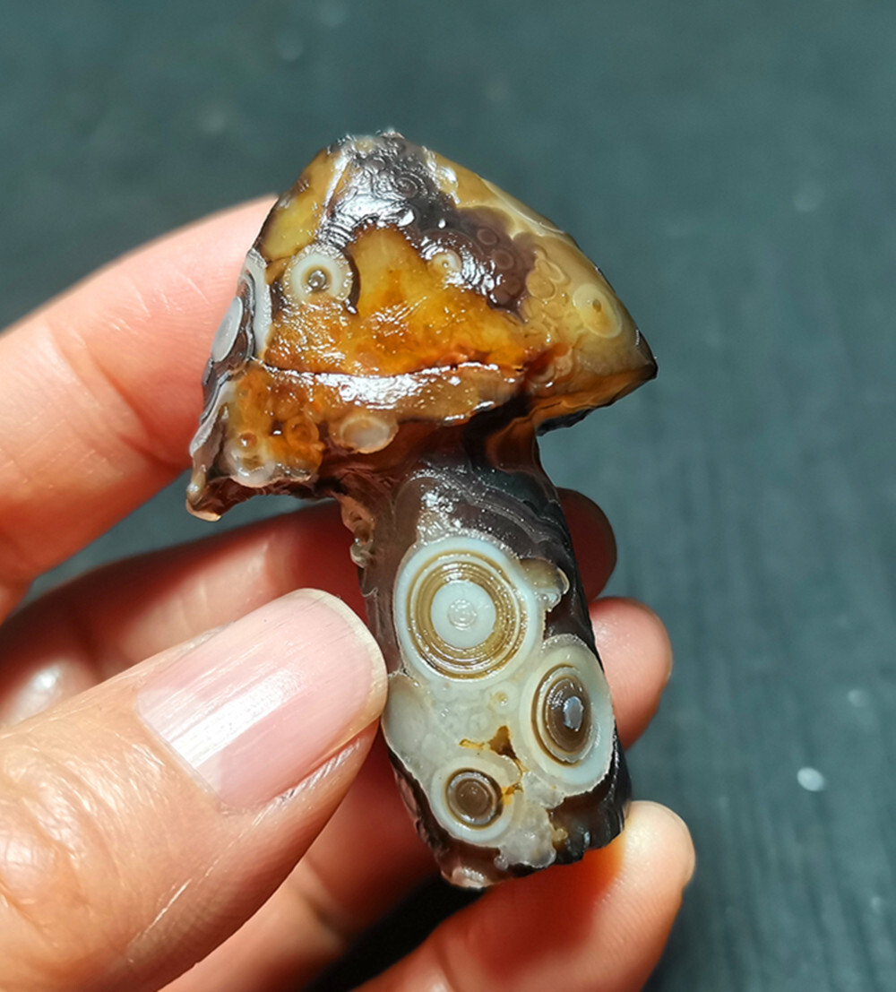 RARE 34G  Natural Gobi Agate Eyes Agate/Mushroom Healing R1513