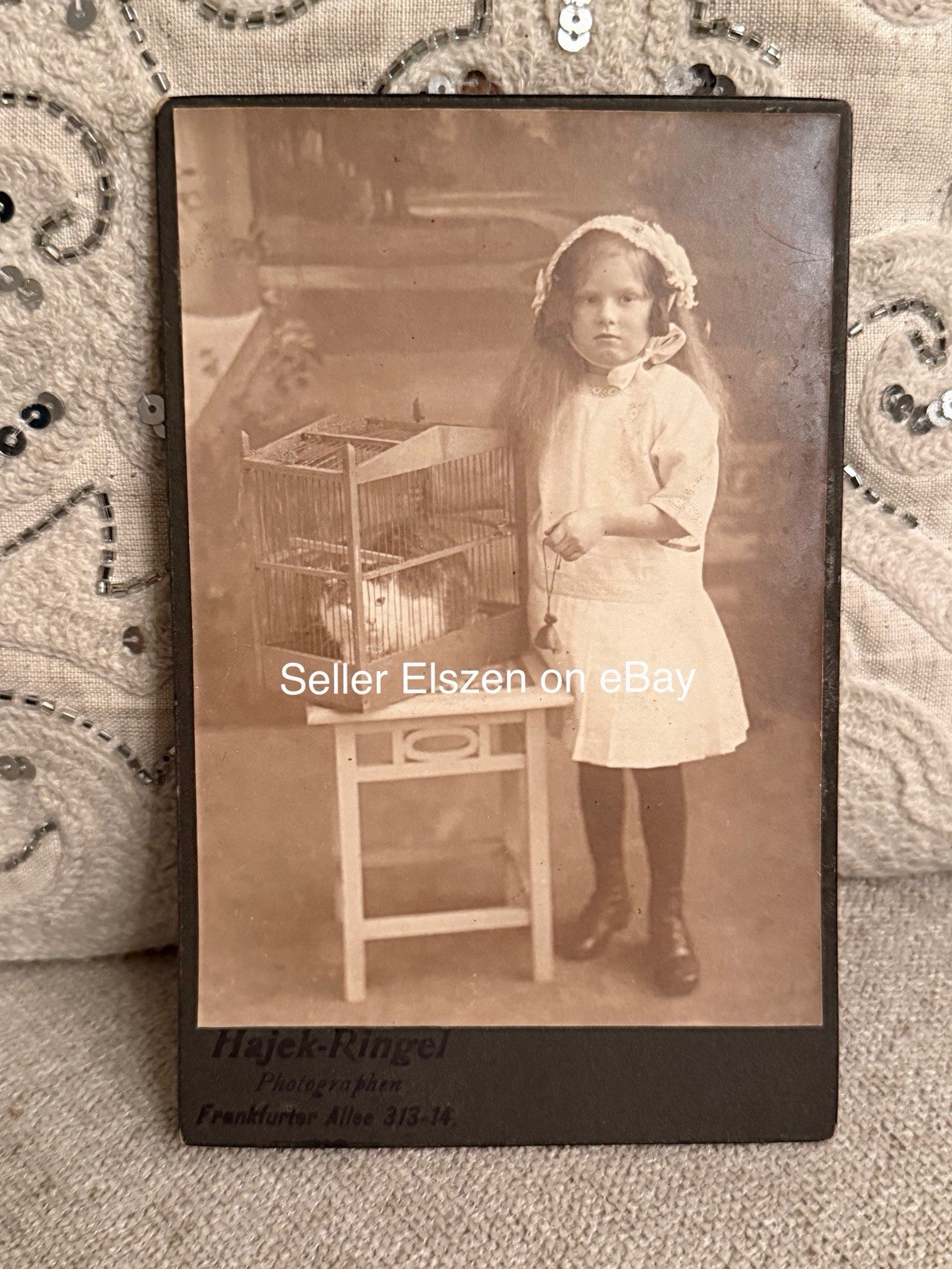 Antique German Cabinet Photo Girl with Cat in Birdcage Berlin c1910 Unusual