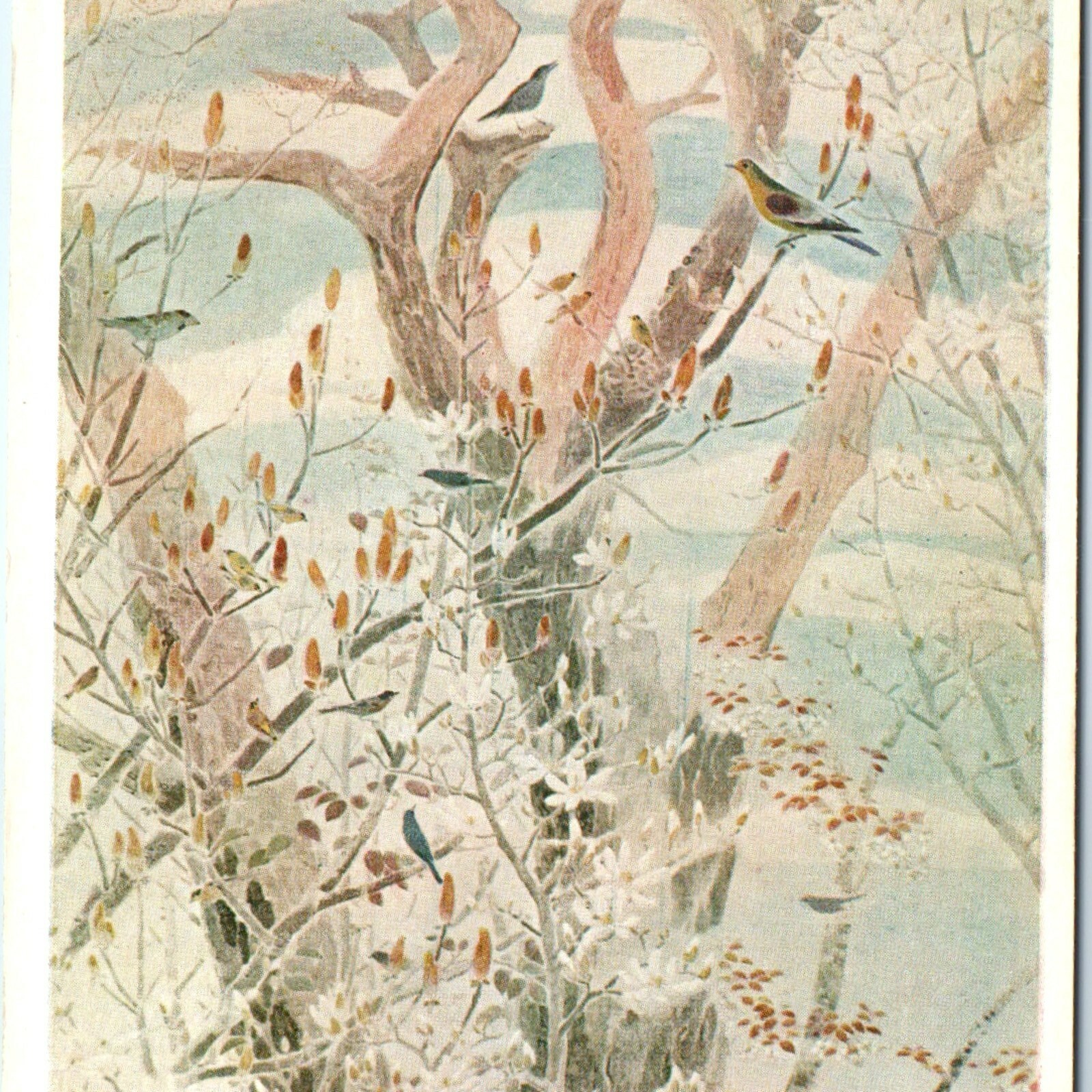 c1910s Japan Art Postcard Hana Kawabe Birds in Forest 4th MEXT Expo Litho c1910s Japan Art Postcard Hana Kawabe Birds in Forest 4th MEXT Expo Litho