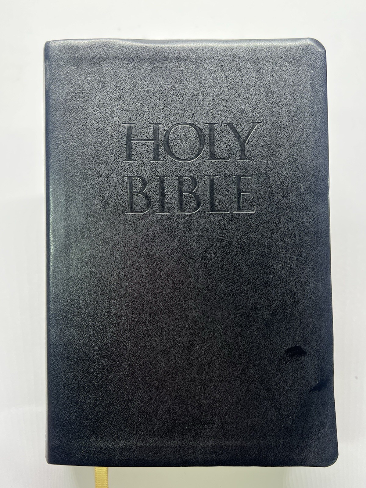 Holy Bible New American Standard Bible