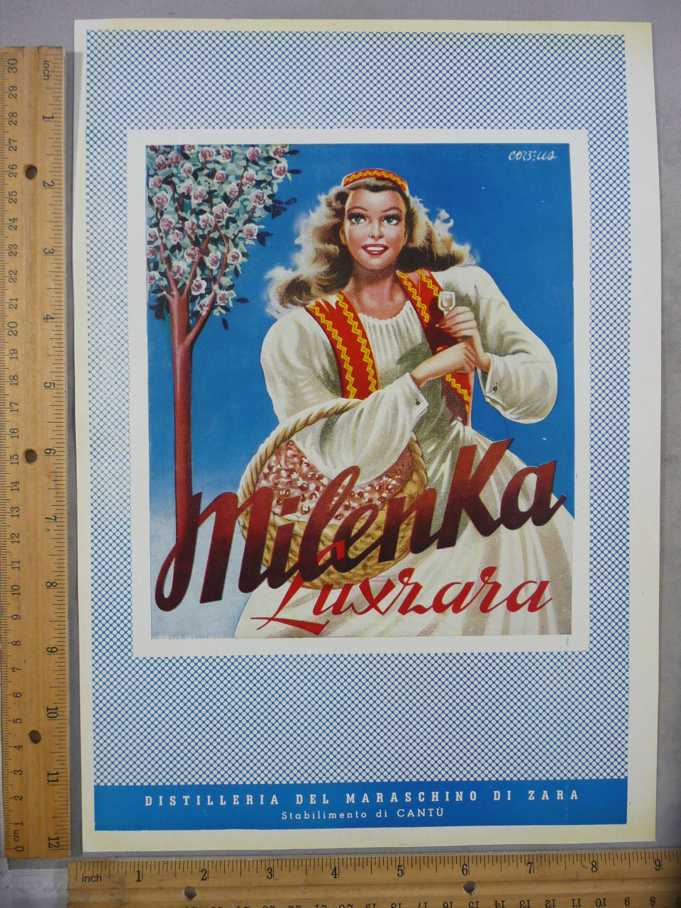 Rare Original VTG 1951 Parenti & Veneroni Fashion Milenka Advertising Art Print