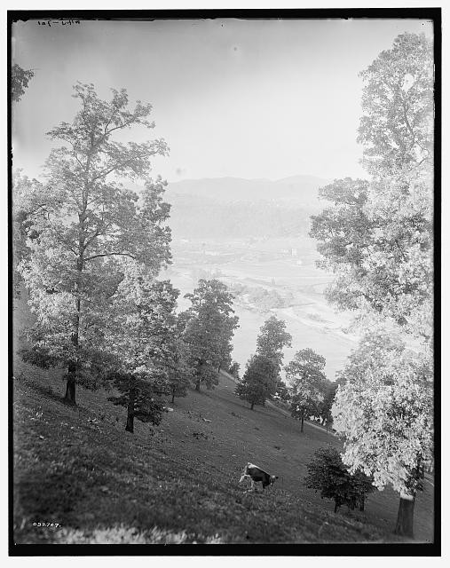 Photo:Asheville North Carolina 1900s Mountain View Hillside Landscape