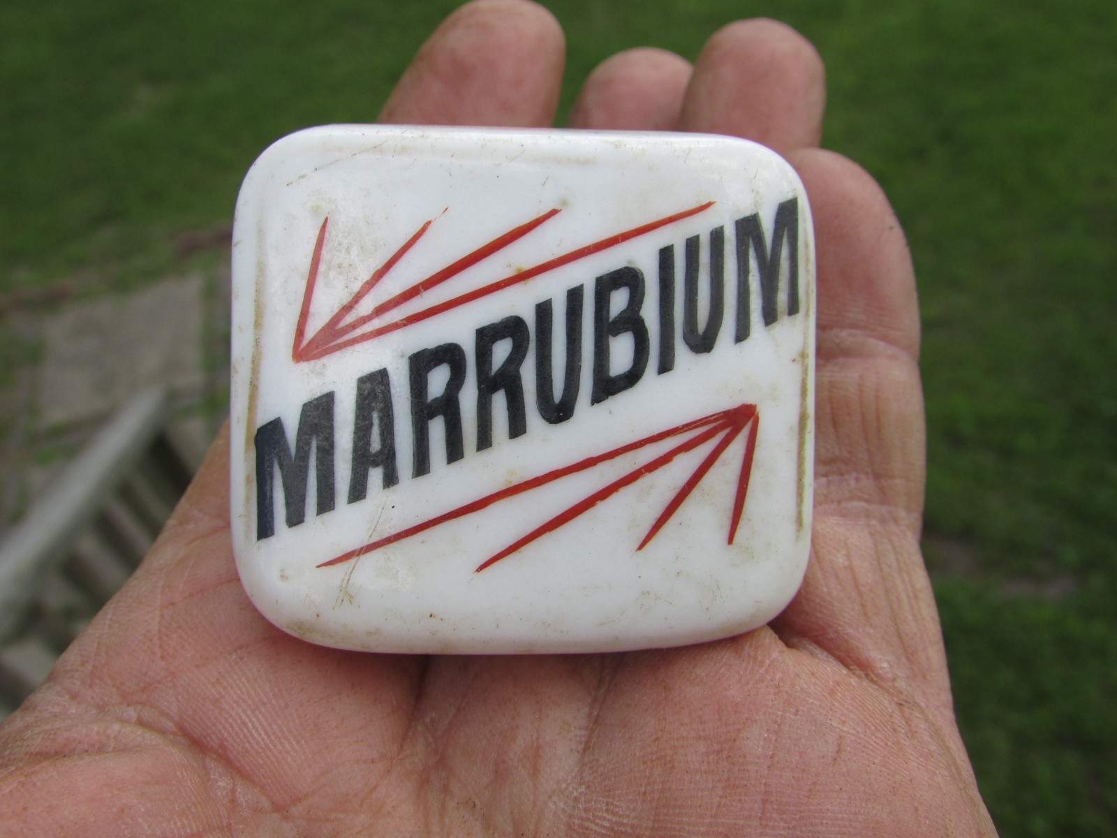Unusual 1900s MARRUBIUM (Horehound) Porcelain APOTHECARY Cabinet Drawer KNOB A++