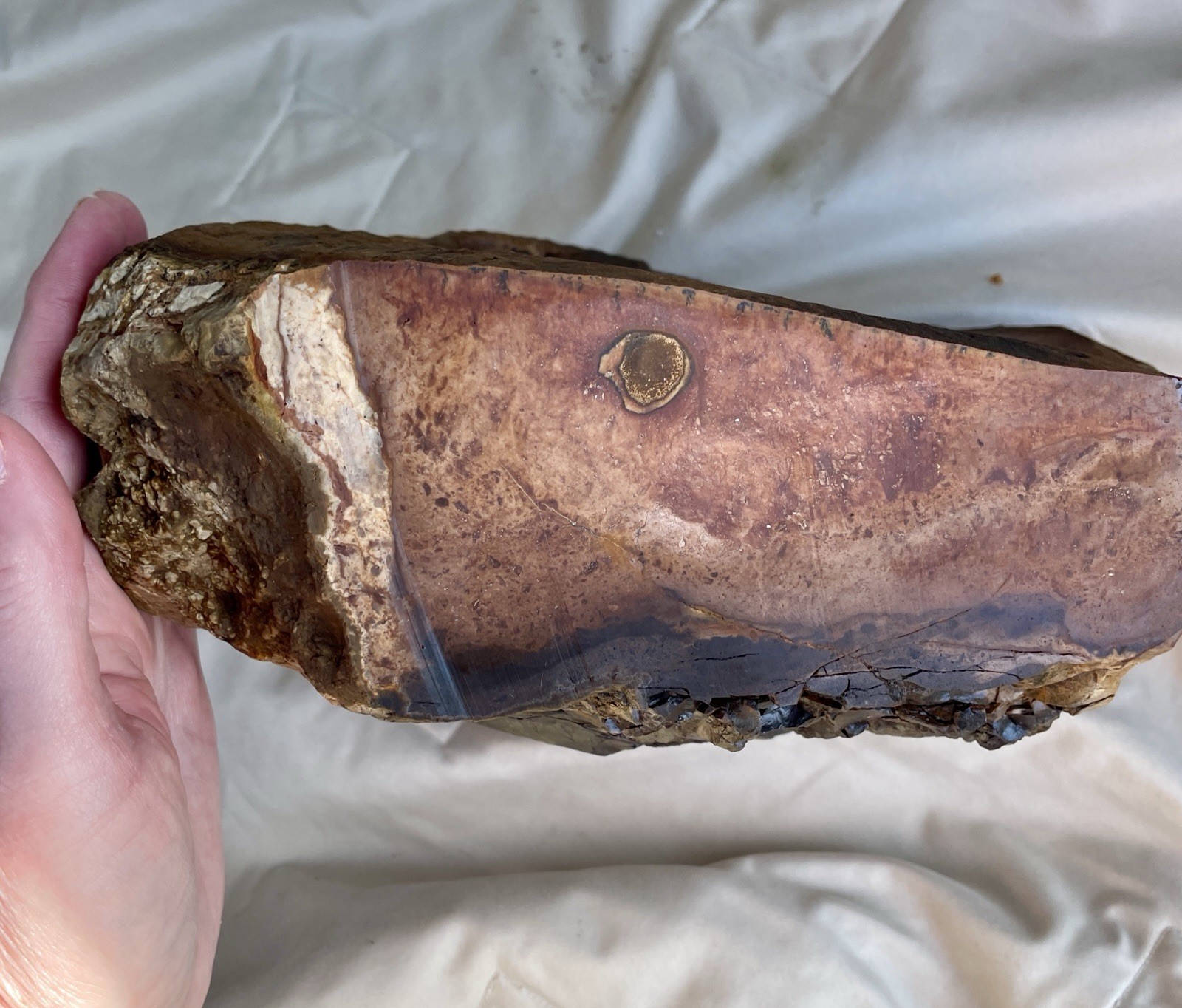 13.1 lb Biggs Picture Jasper Lapidary Rough Cut from Biggs, Oregon 13.1 lb Biggs Picture Jasper Lapidary Rough Cut from Biggs, Oregon