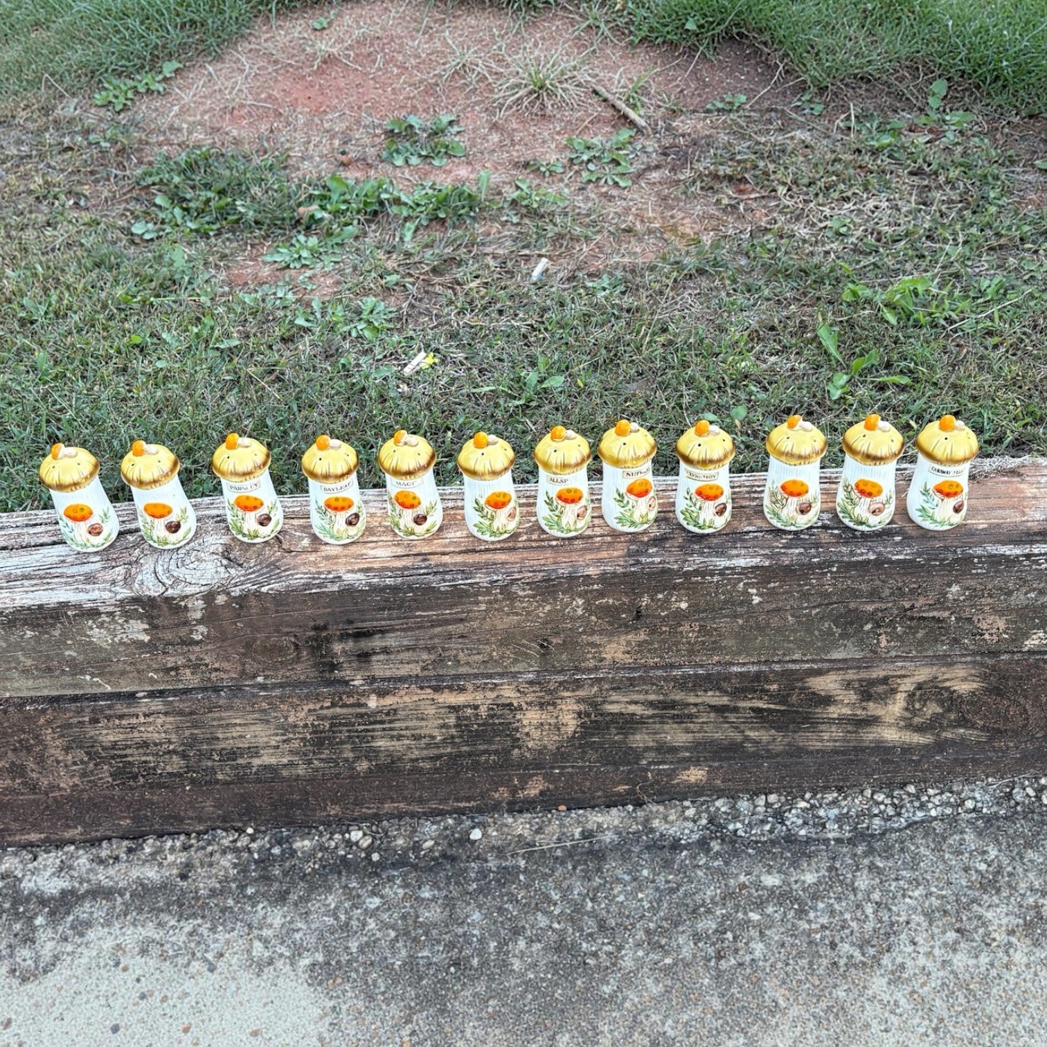 Vintage Lot Of 12 Sears 1976 Merry Mushroom Spice Shakers Original Japan