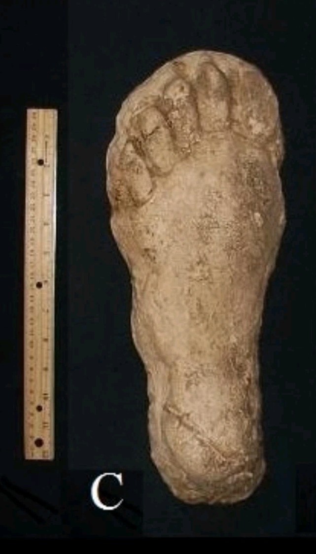 1982 Grays Harbor Heryford Bigfoot print cast 