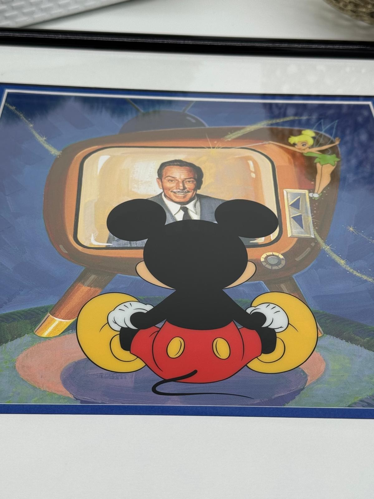 Disney Sundays With Walt Limited Edition Sericel Framed COA 16x17