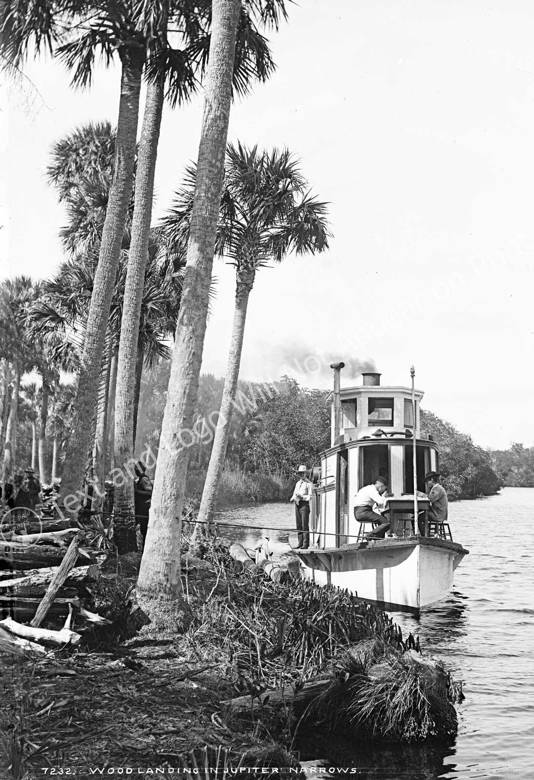 1880-1897 Wood Landing in Jupiter Narrows, Florida Old Photo 13 1880-1897 Wood Landing in Jupiter Narrows, Florida Old Photo 13