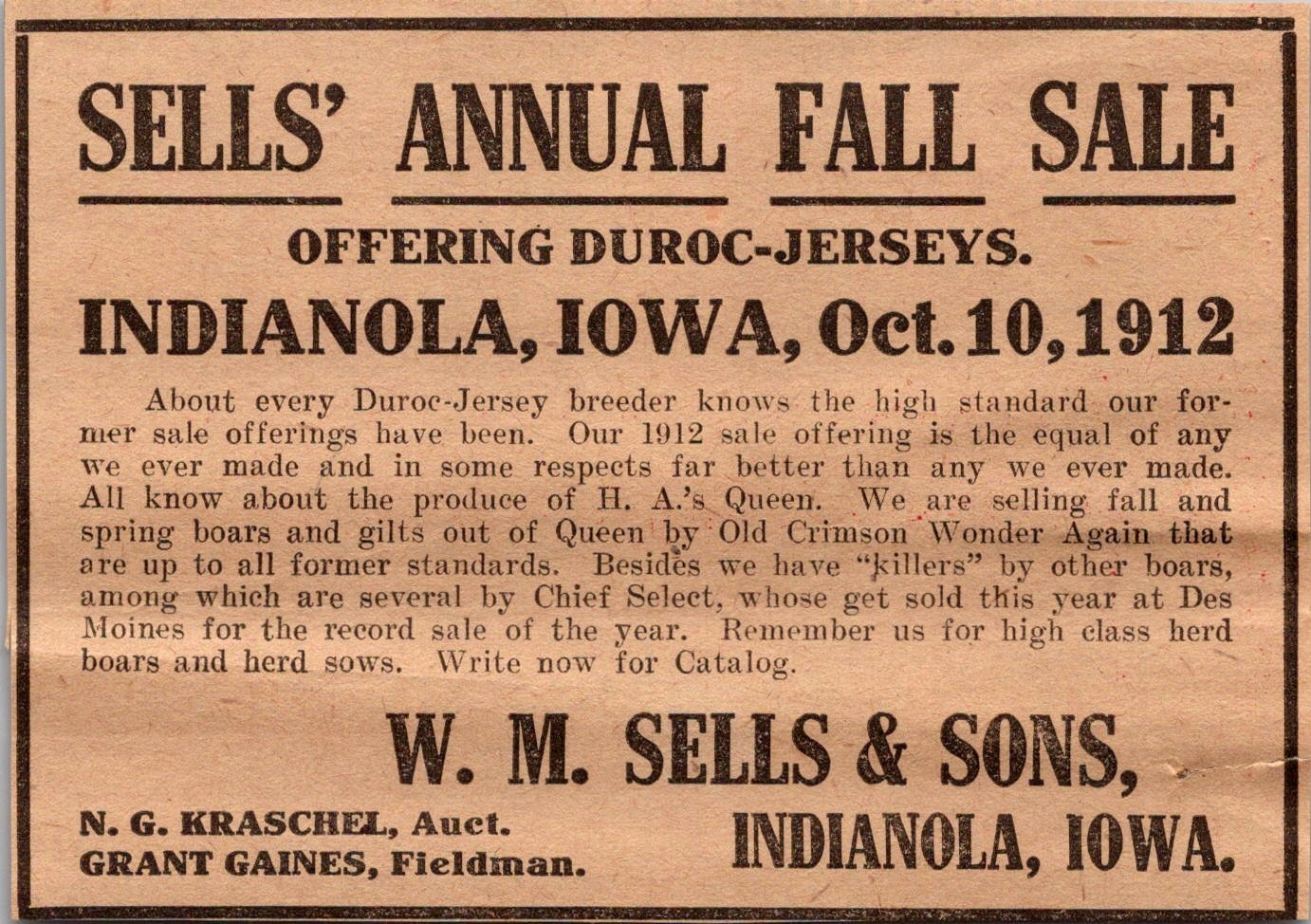 WM Sells & Sons Annual Fall Sale NG Kraschel Indianola IA 1912 Clipping TAJ5-3
