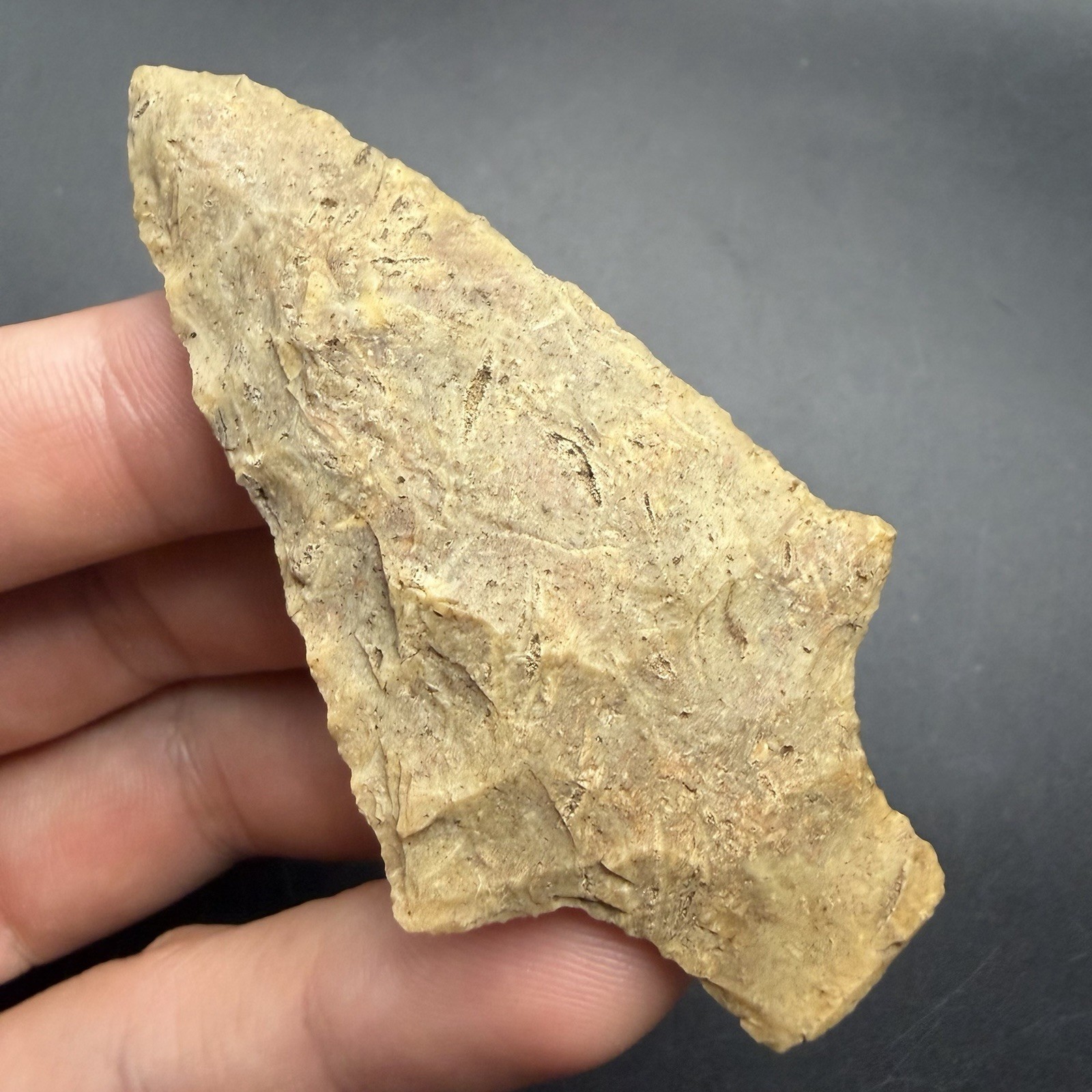 Authentic Florida Arrowhead - Possible Newnan? 3.04” Authentic Artifact Authentic Florida Arrowhead - Possible Newnan? 3.04” Authentic Artifact