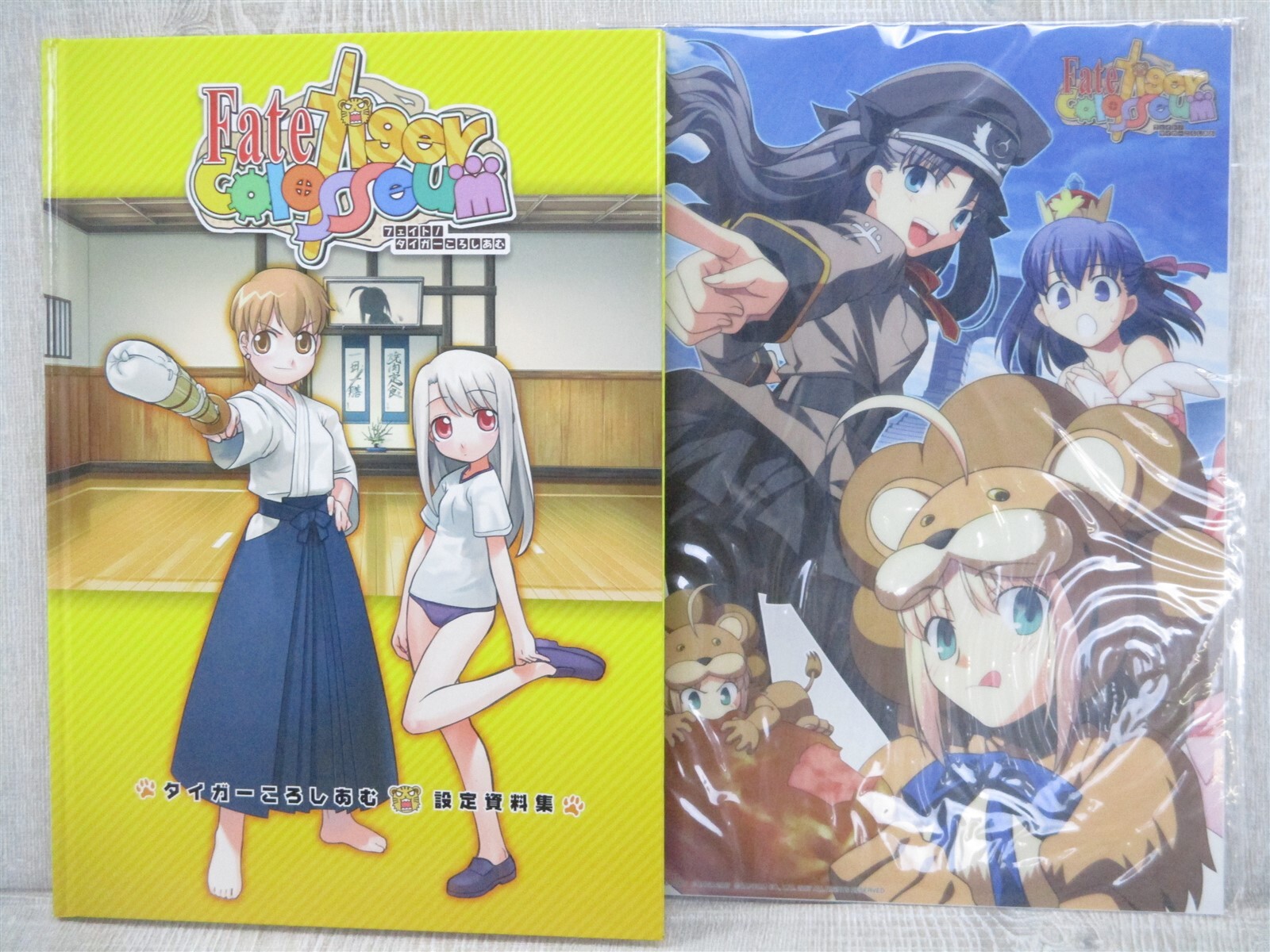 FATE TIGER COLOSSEUM Art Works w/Illust Sheet Sony PSP Fan Book 2007 Japan Ltd