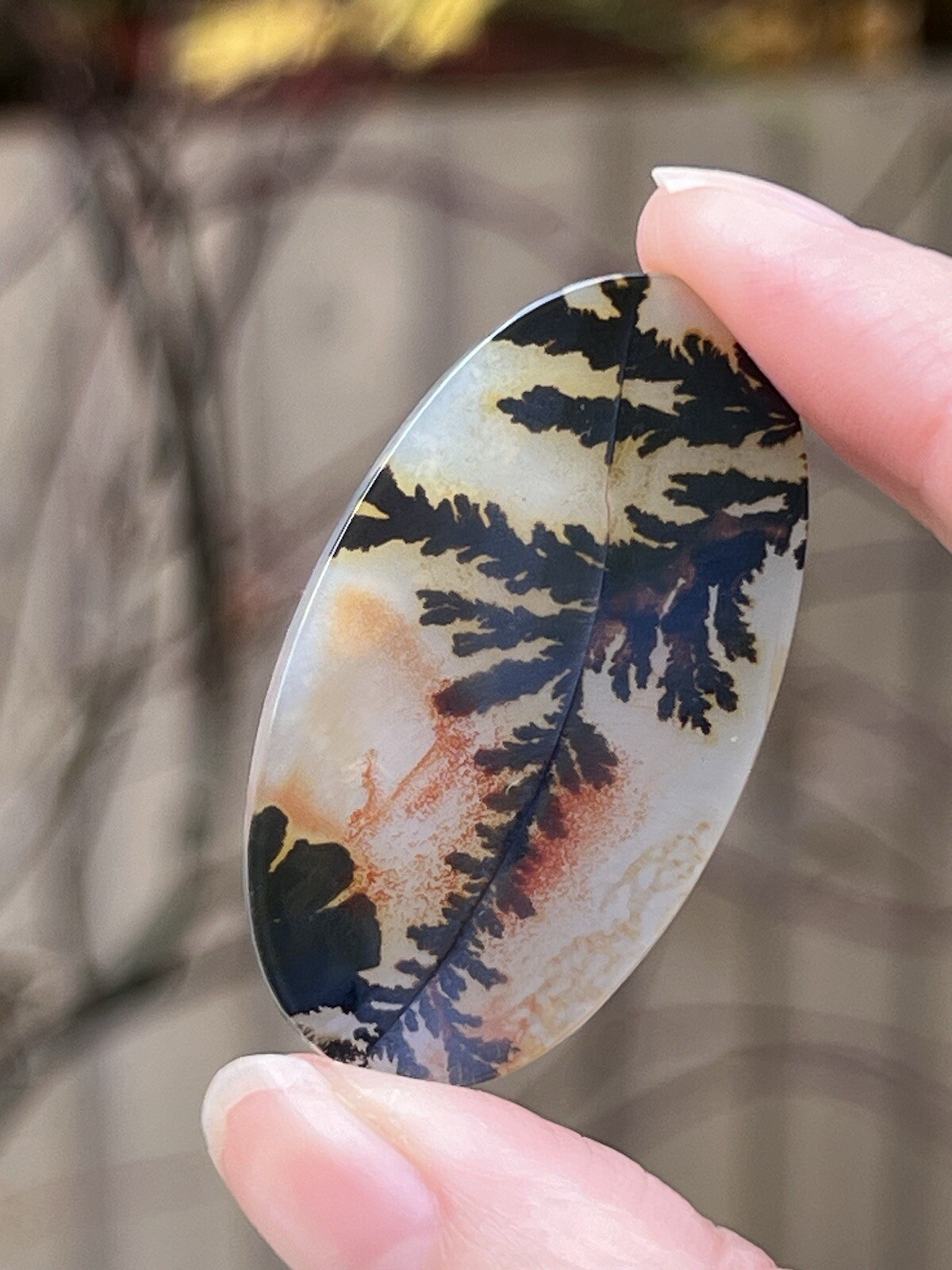 Large Shazar Dendrite / Dendritic Agate Polished Cabochon Rare 6.6g 33 Carats 8