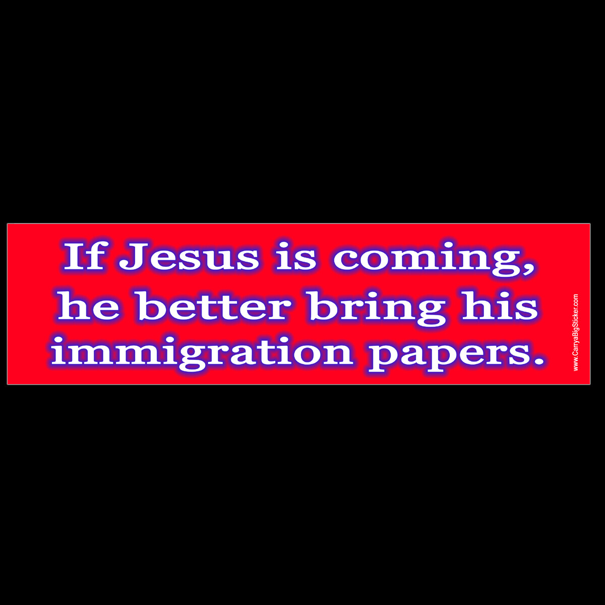 If Jesus is Coming Better Bring his Immigration Papers BUMPER STICKER or MAGNET
