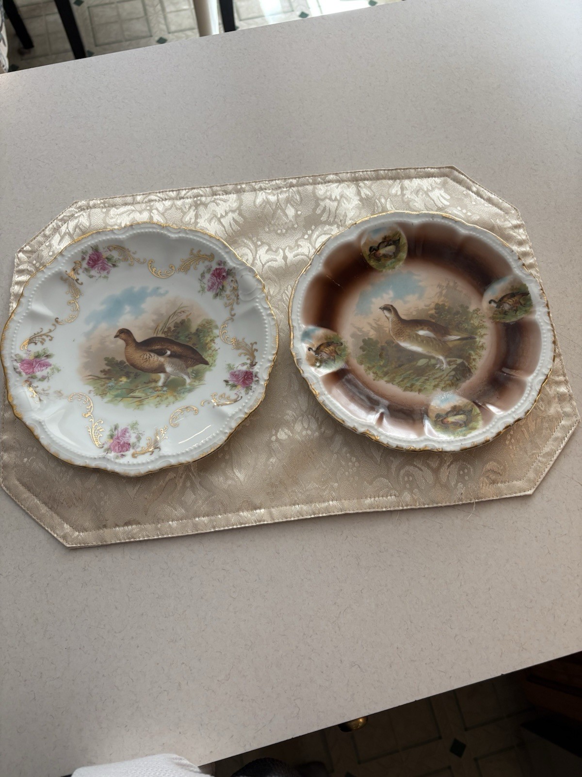 Antique PM Bavaria Porzellanfabril Moshendorf Game Bird Set Of 2 Porcelain Plate