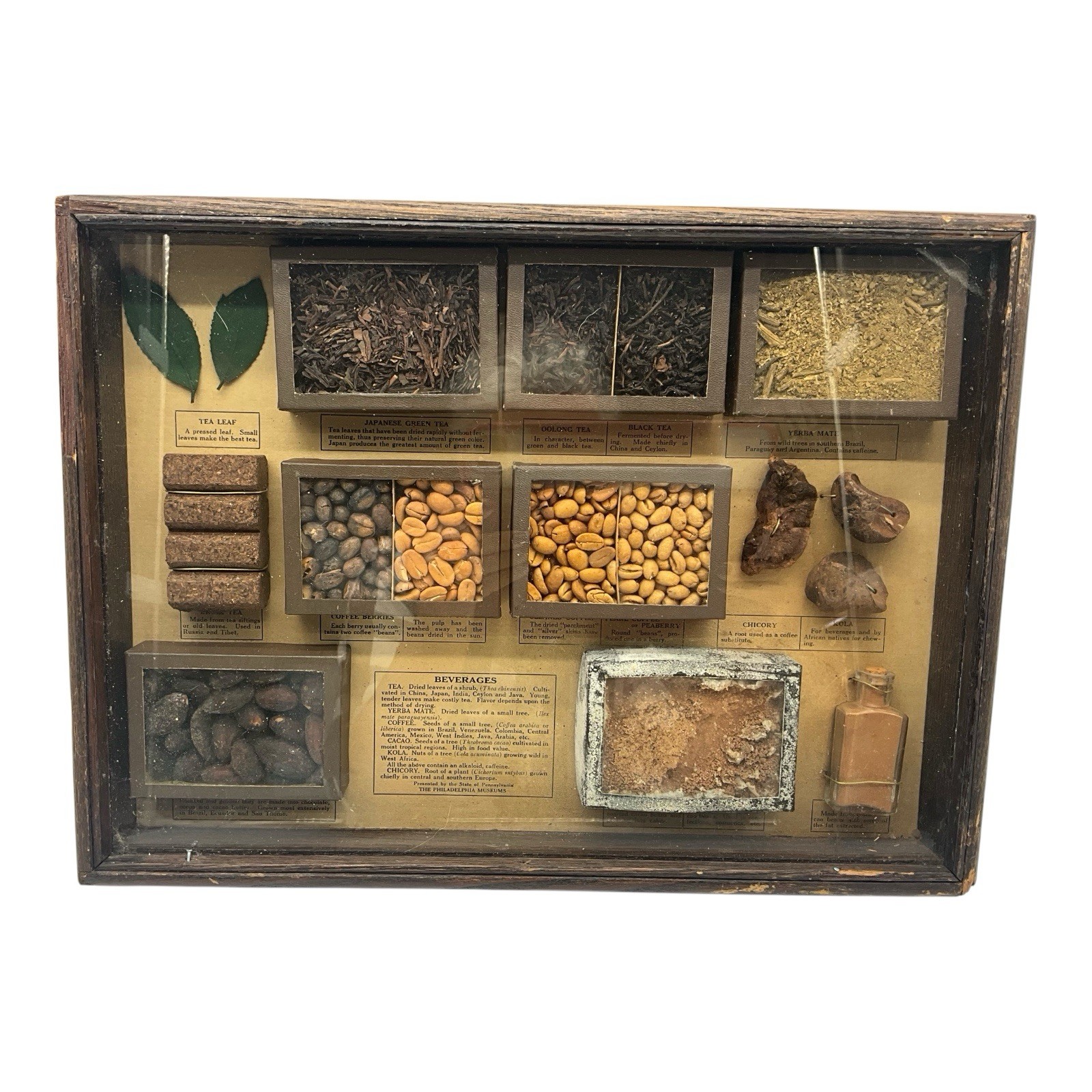 Antique Shadow Box Diorama of Beverage Samples from the Philadelphia Museum Antique Shadow Box Diorama of Beverage Samples from the Philadelphia Museum