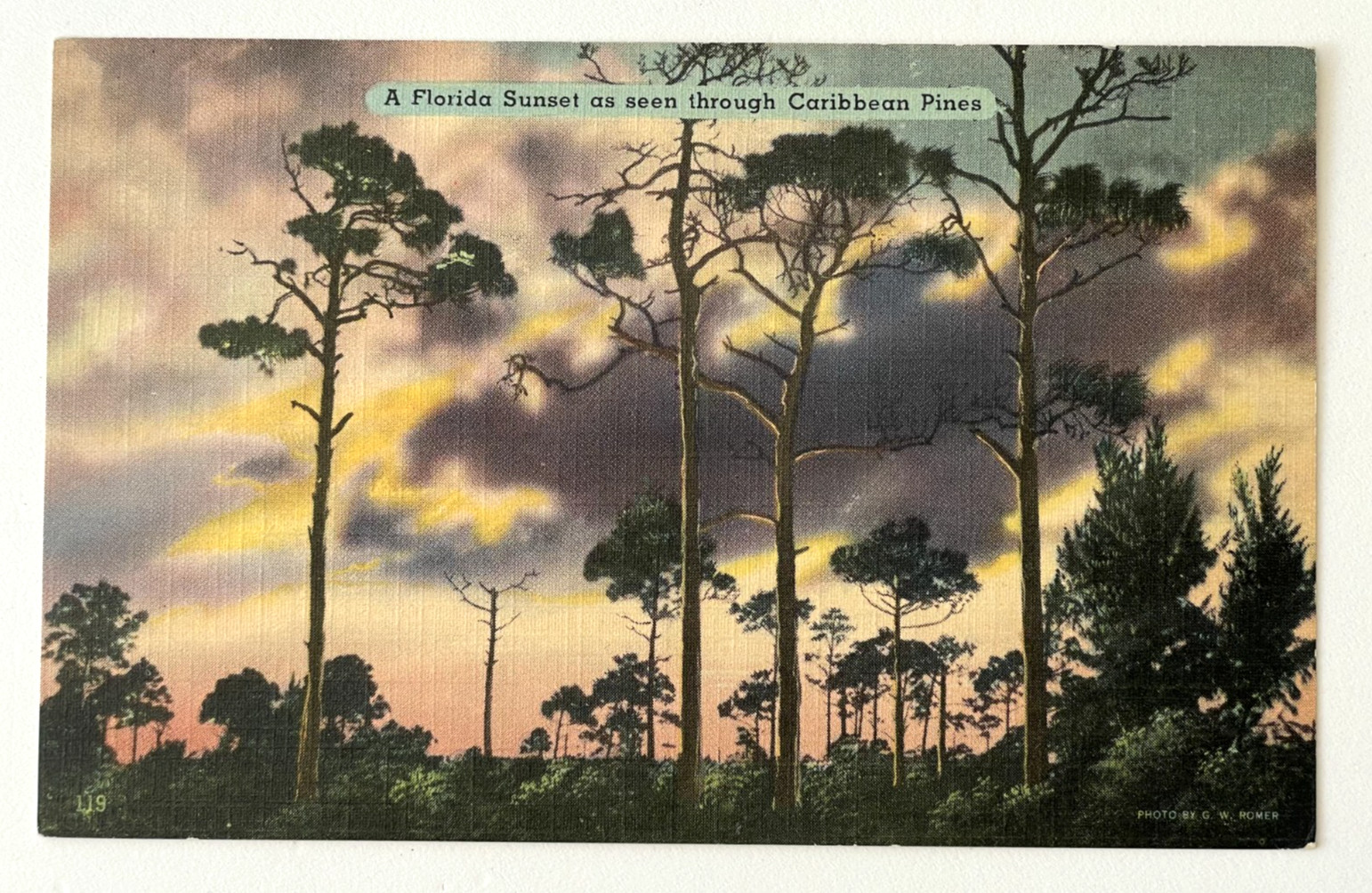 Florida Sunset Thru Caribbean Pines Linen Postcard ca 1938-40 Tichnor Bros Inc