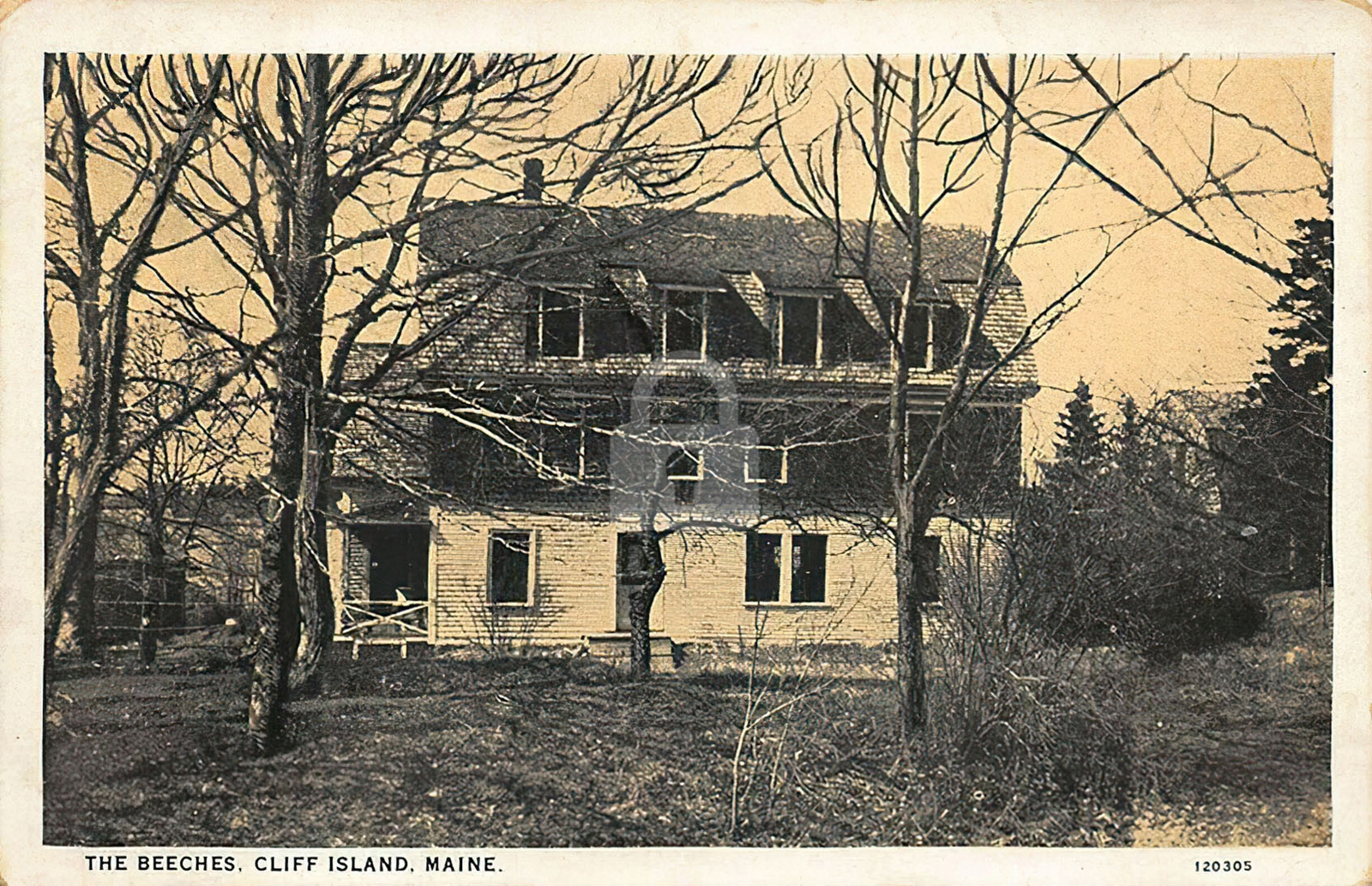 Cliff Island ME Maine The Beeches Postcard Copy