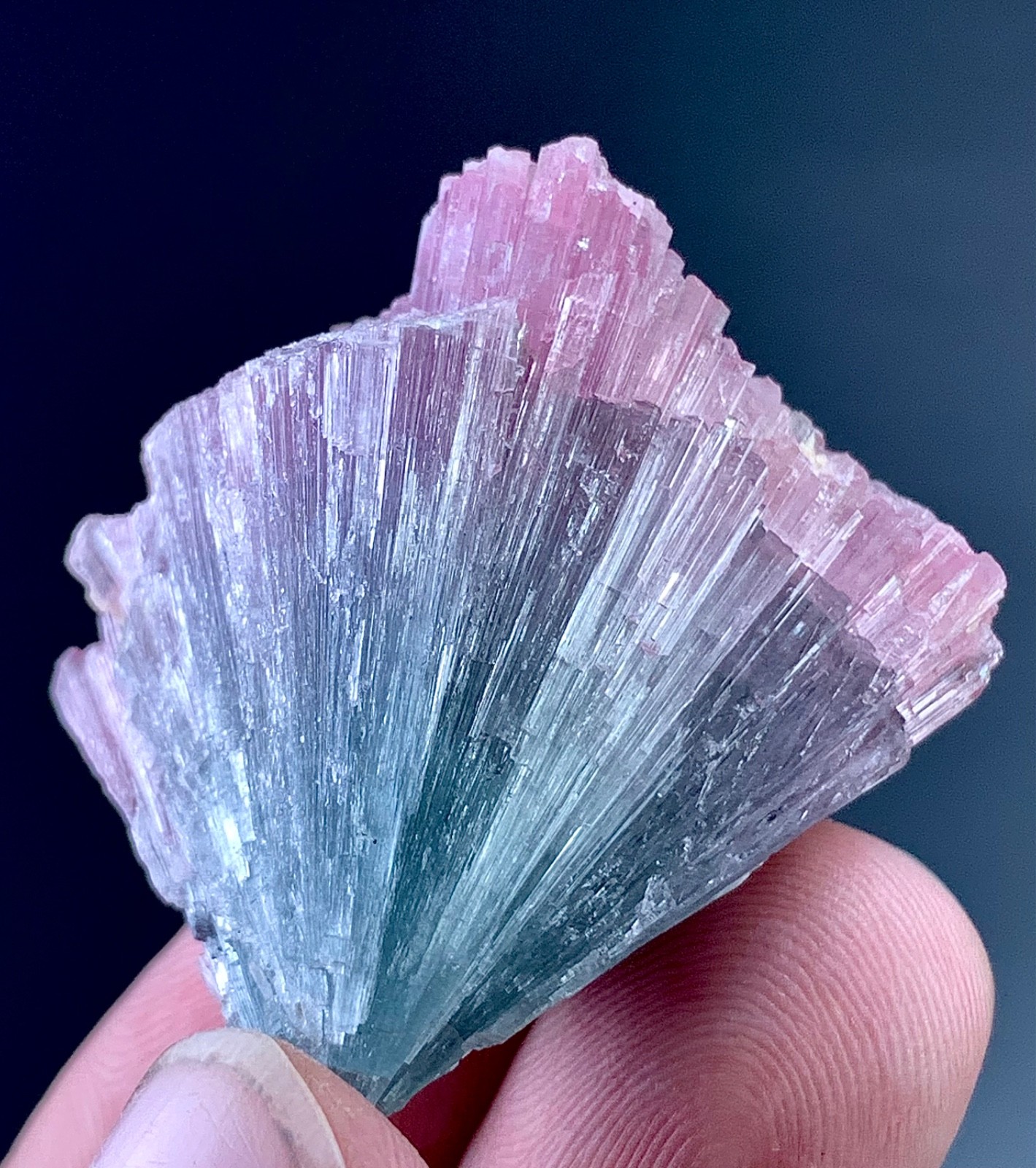 Bi Colour Tourmaline Crystal From Afghanistan 125 Carat