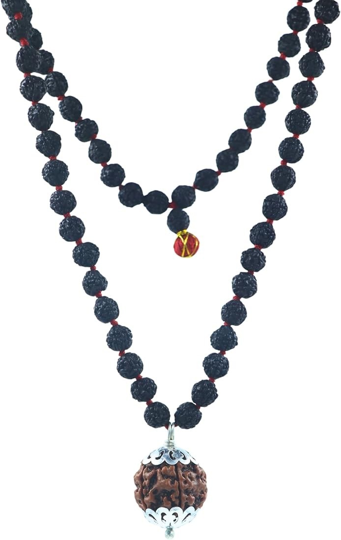 17 Mukhi Nepali Rudraksha Katyayani Bead with 108+1 Five Mukhi Rudraksha Mala | 17 Mukhi Nepali Rudraksha Katyayani Bead with 108+1 Five Mukhi Rudraksha Mala |