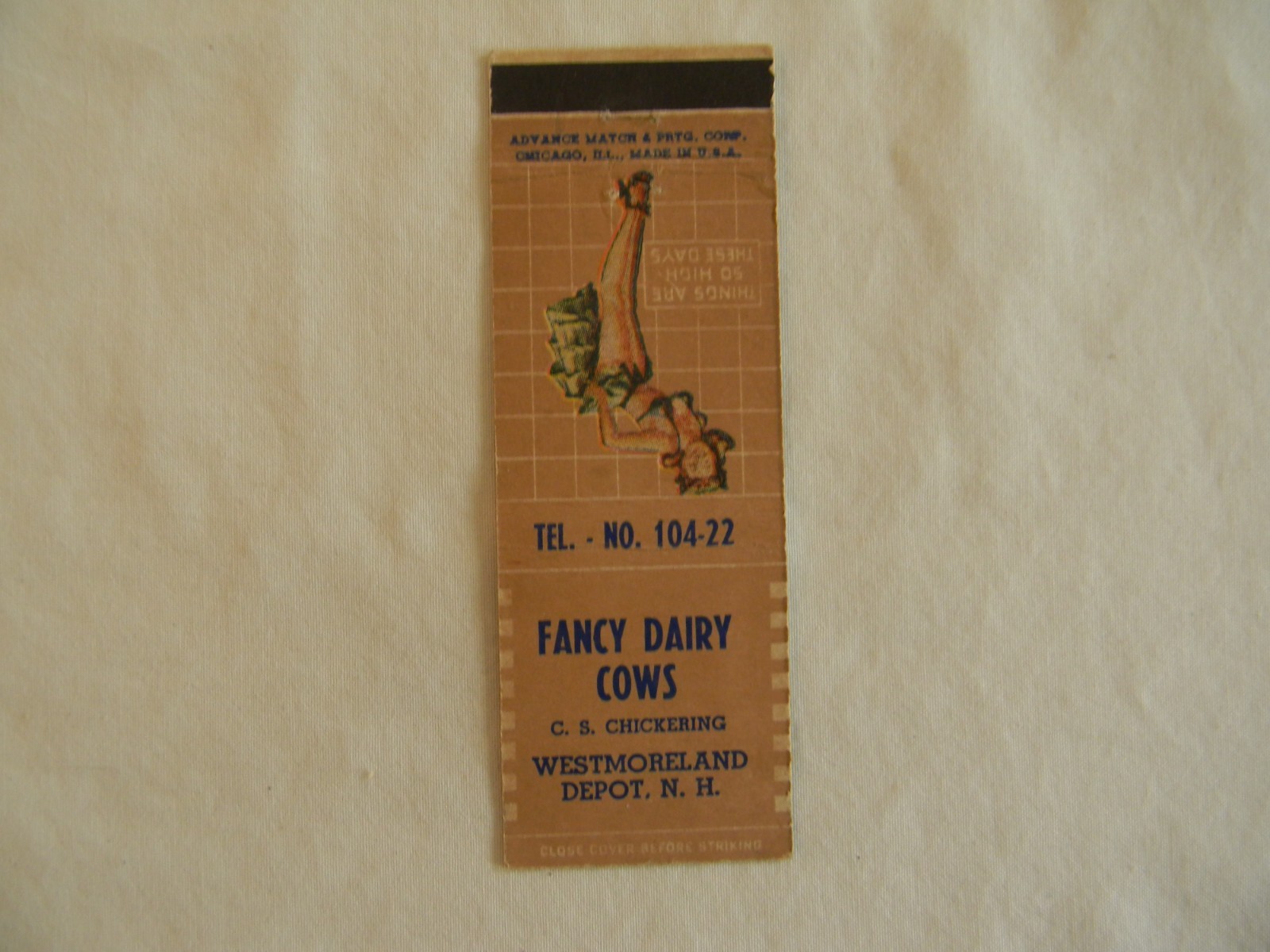 Westmoreland Depot New Hampshire farm livestock dairy cattle Girly low # 104-22