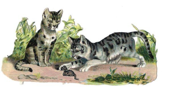 1888 Chromo decoupis, VICTORIAN CAT & MOUSE GAMES Antique Die-Cut Scrap, 4\ 1888 Chromo decoupis, VICTORIAN CAT & MOUSE GAMES Antique Die-Cut Scrap, 4\