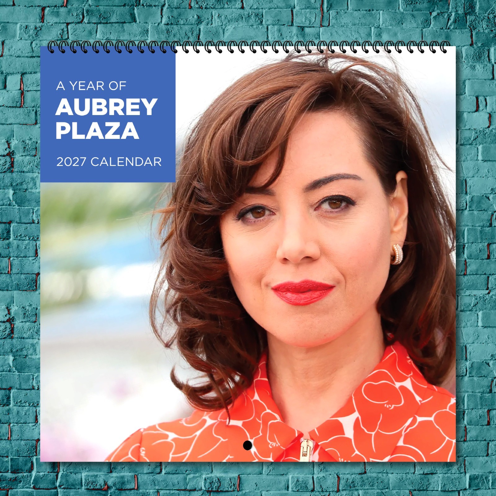 Aubrey Plaza 2027 Wall Calendar 12 Month Celebrity Photo Fan Collectible