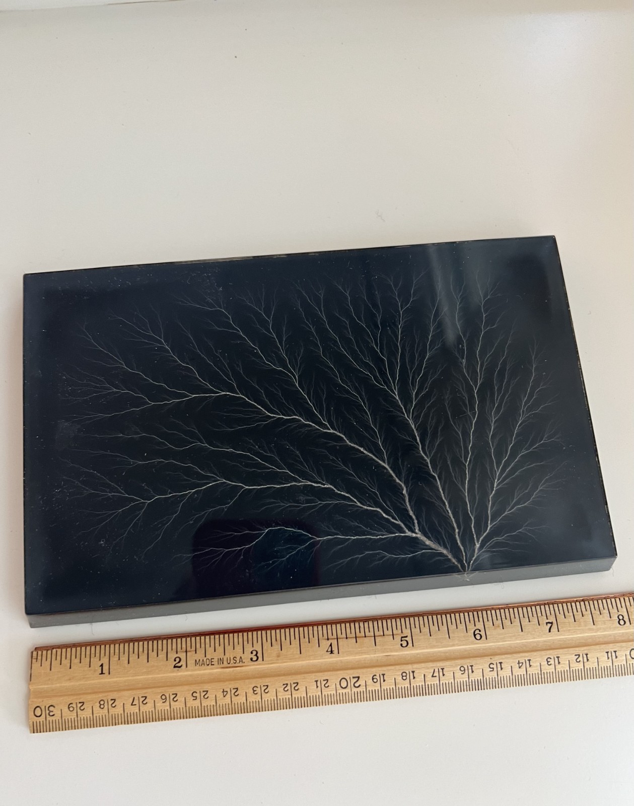 Vintage 1974 Lichtenberg Figure Acrylic Electrical Discharge Lightning Specimen