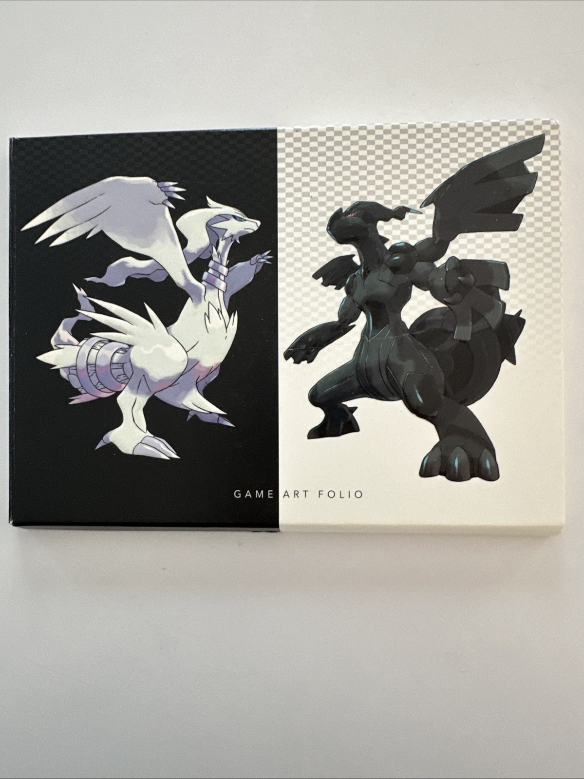 Pokemon Black Version And White Version Game Art Folio