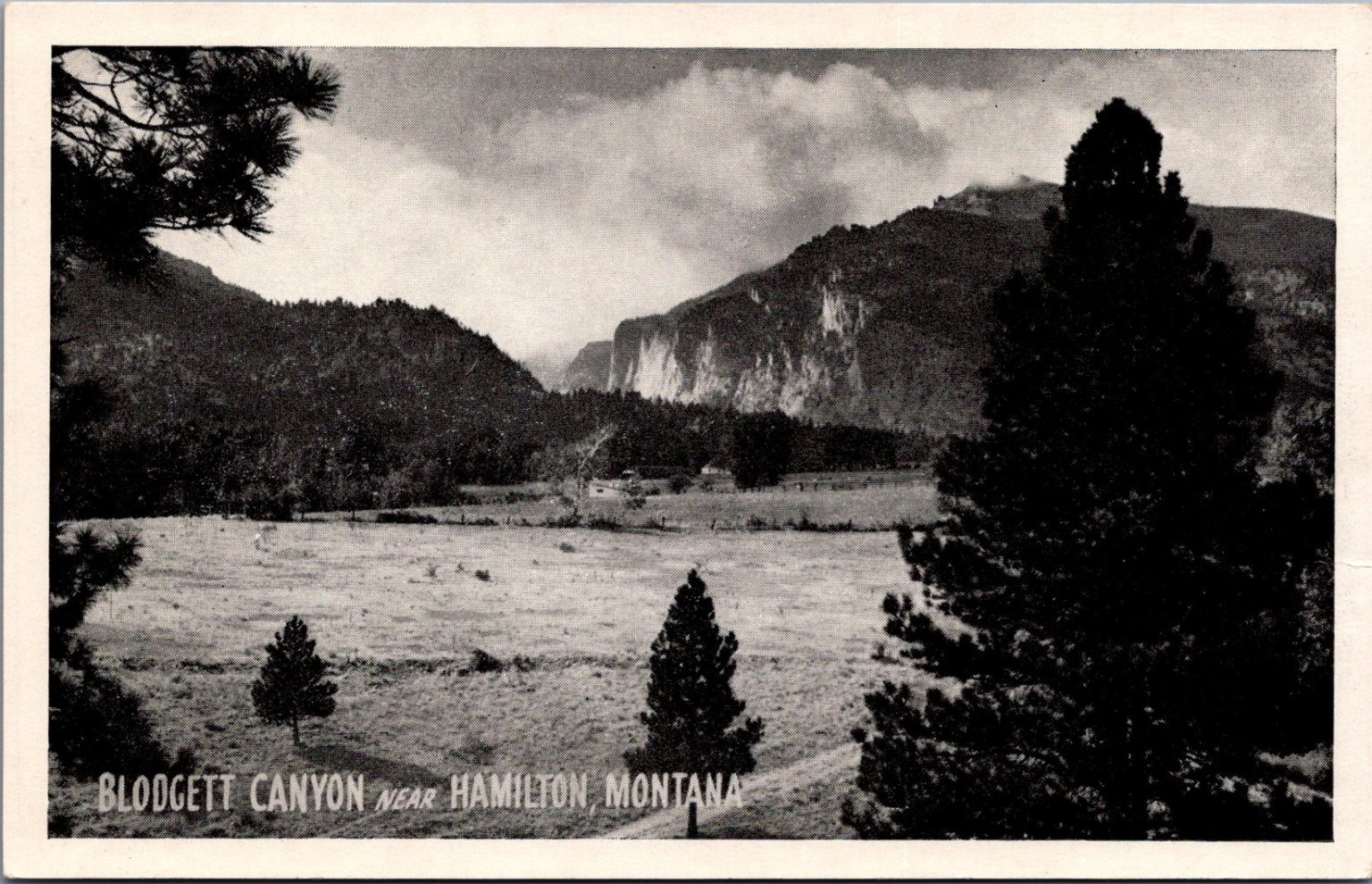 Blodgett Canyon Hamilton Montana Vintage Postcard Graycraft Natural Finish Blodgett Canyon Hamilton Montana Vintage Postcard Graycraft Natural Finish