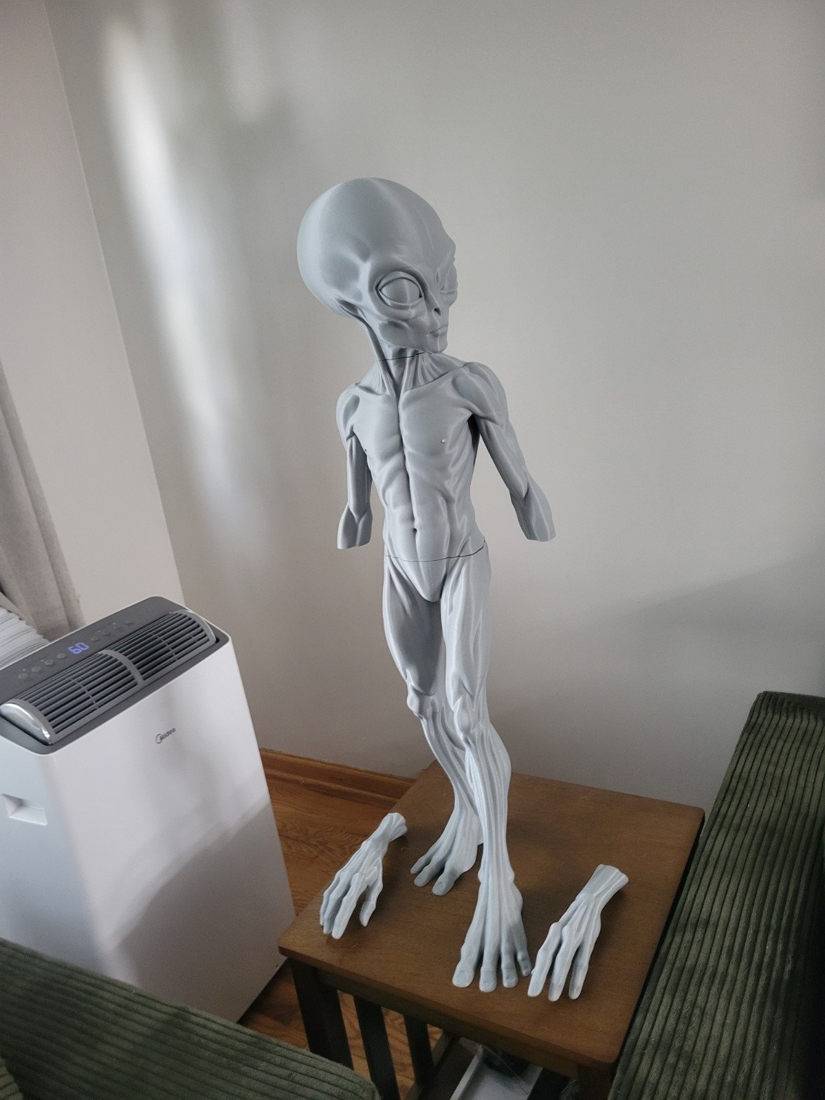 3 foot alien Aka Zeta Or Little Grey Men. also known as observer