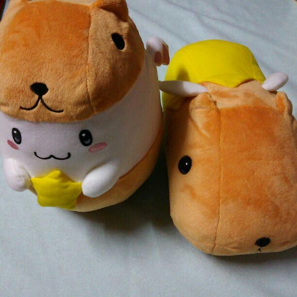 capybara-san Plush 2pcs set 30cm/11.81\