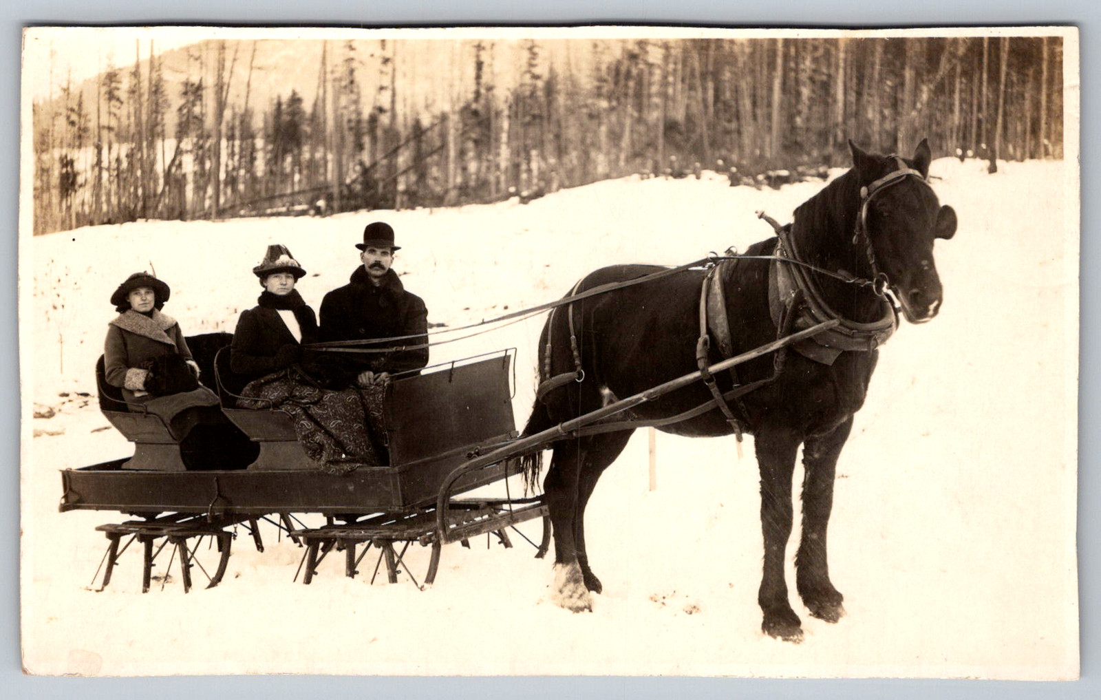 RPPC c1910s Two Row Passenger Sleigh Single Horse Winter Snow Scene Postcard